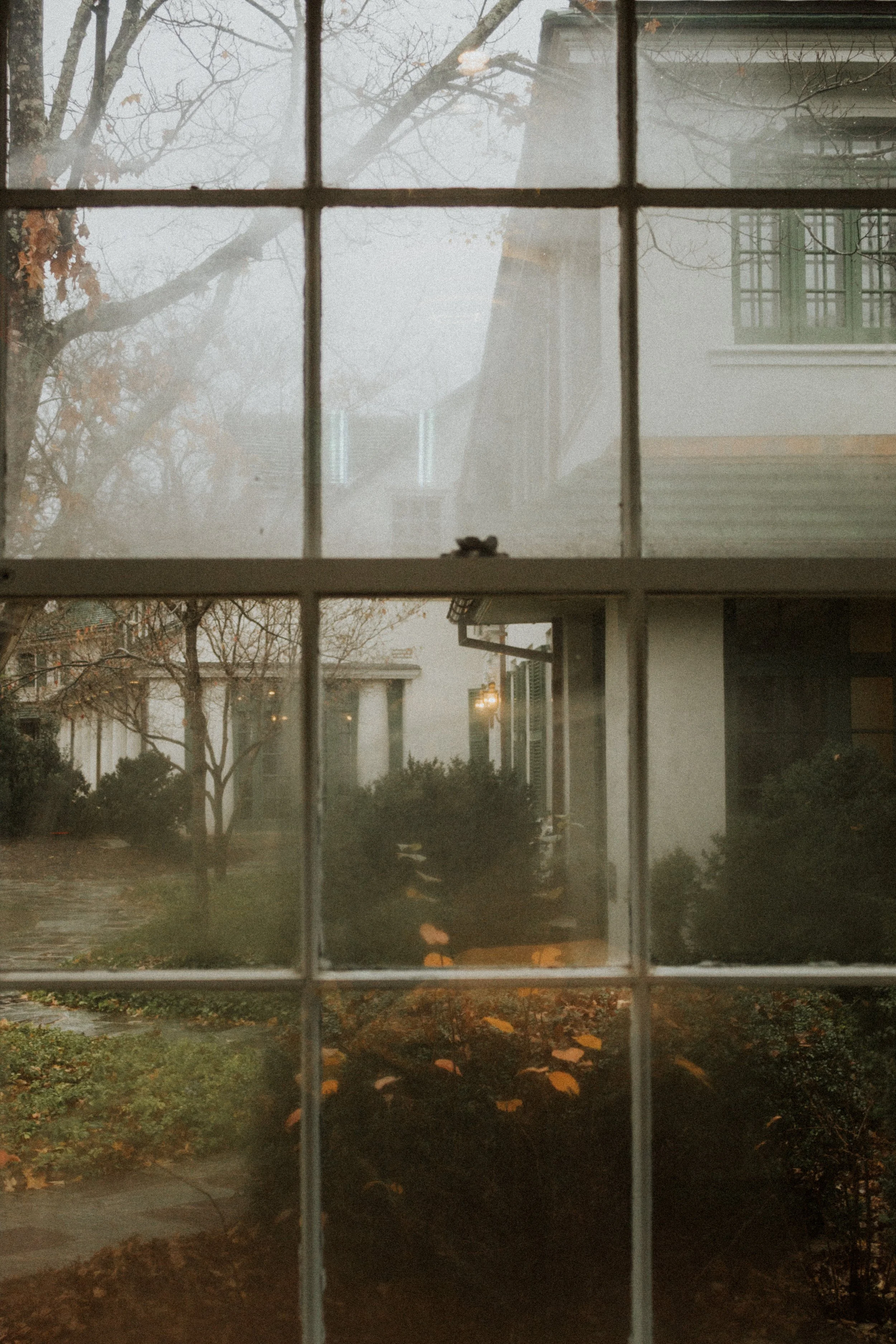 Autumn Breeds Nostalgia