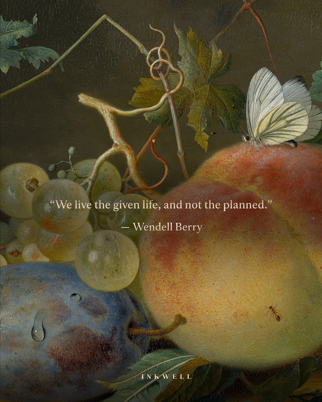 &ldquo;We live the given life, and not the planned.&rdquo; &mdash; Wendell Berry 🫐