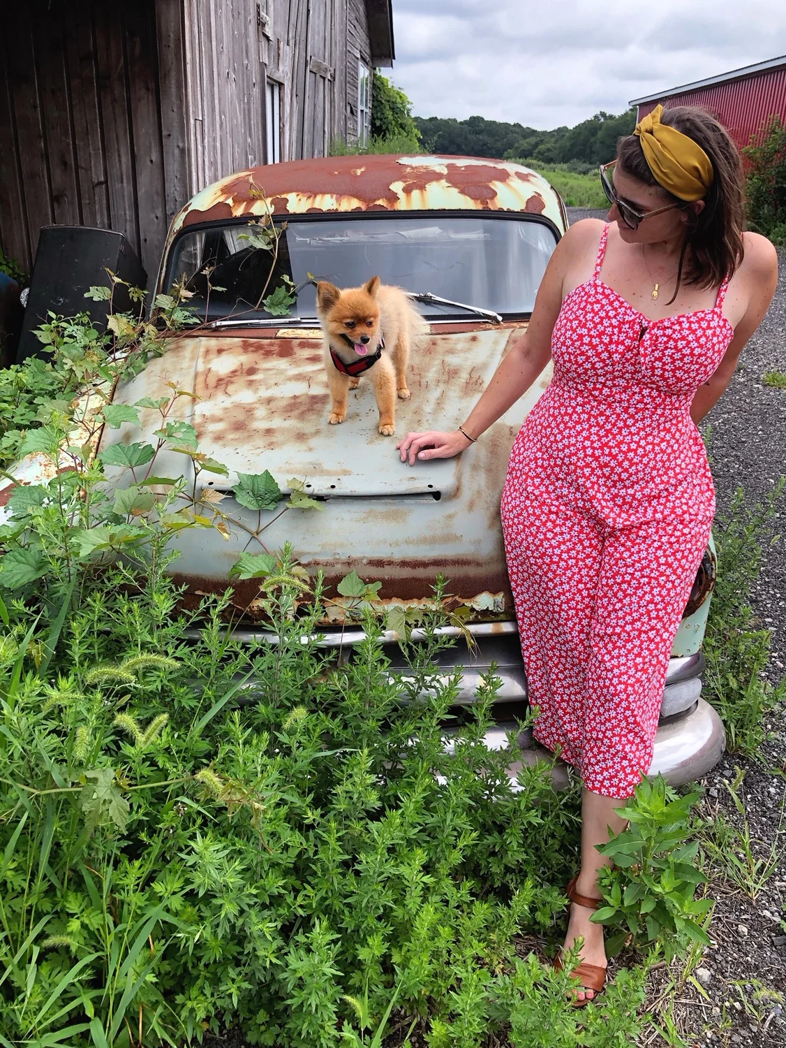 Sunflowers and Wine in North Fork 