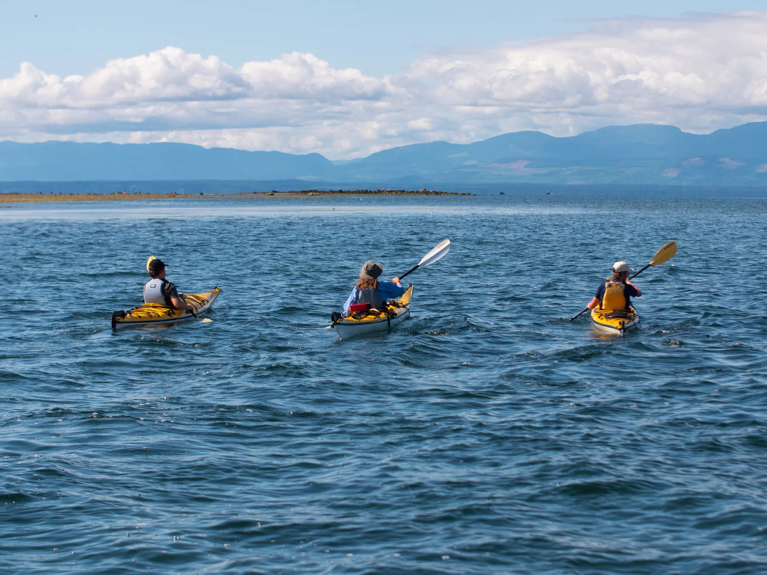 How Much is It to Rent a Kayak: Affordable Adventure
