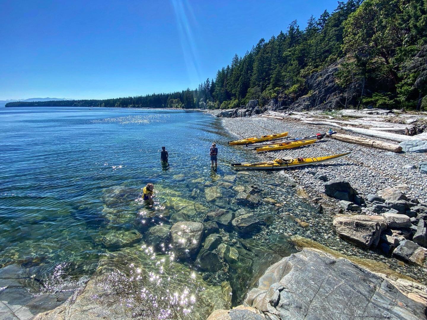 Join us on an afternoon tour tomorrow launching from the @hollyhocklife beach 1:30-5:30pm

Sign up online- link in bio!