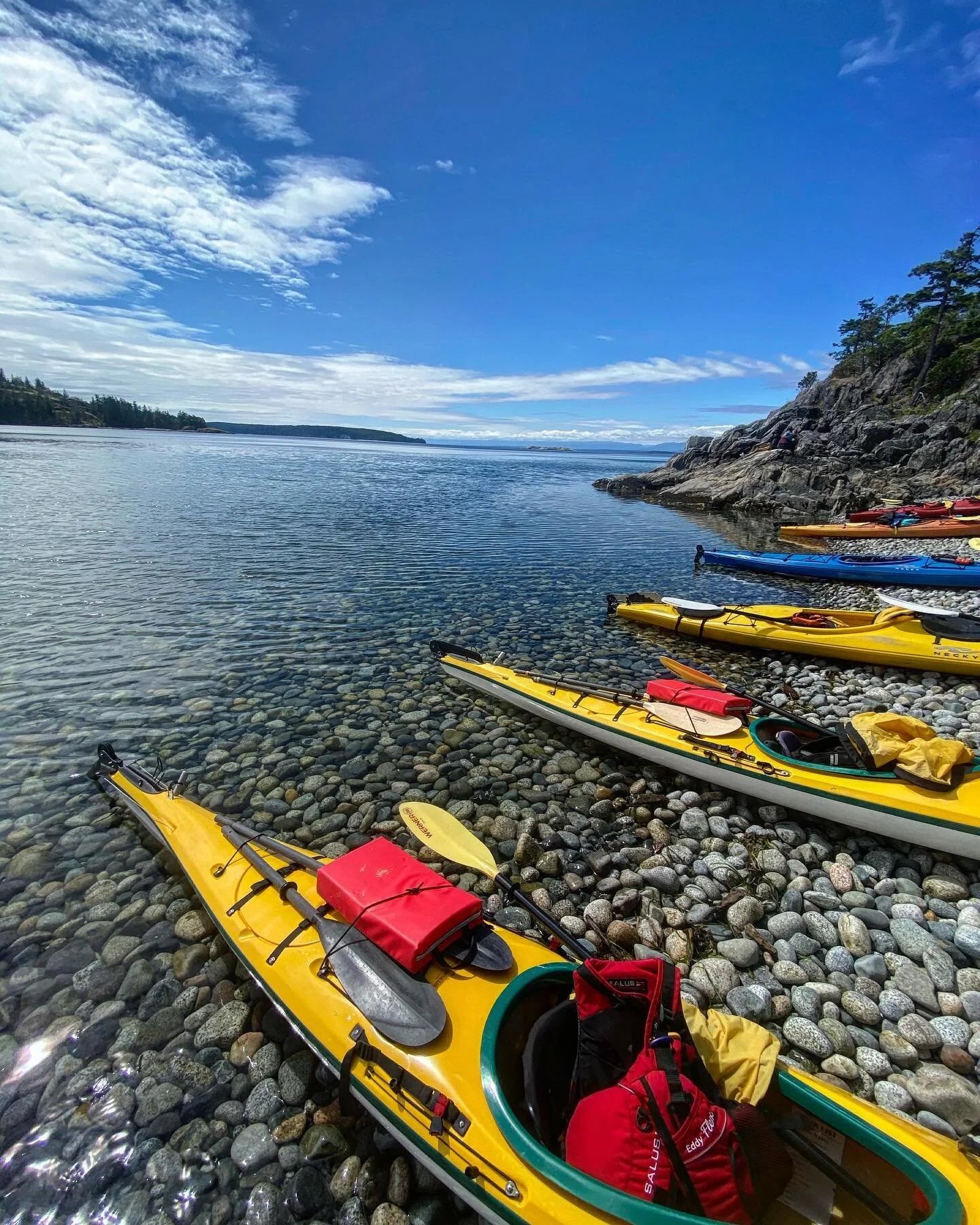 Happy summer solstice and National Indigenous Peoples day! 

Let&rsquo;s celebrate the people who have stewarded the lands and waters of turtle island since time immemorial. Here, on the island we now call Cortes, we celebrate the resilience, strengt