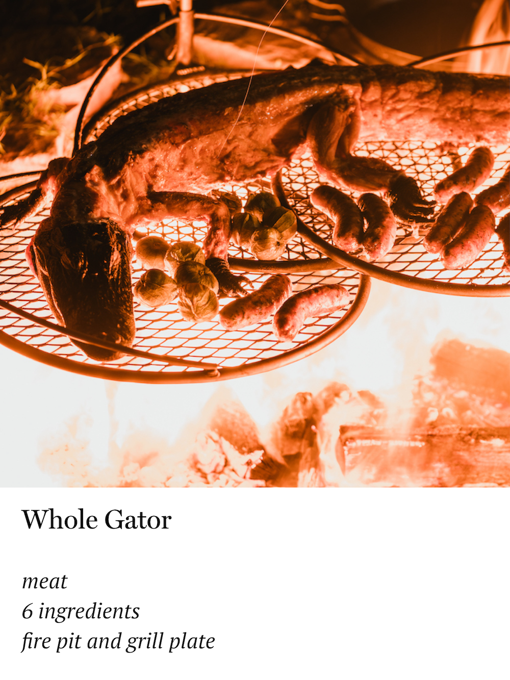 Whole Gator.png