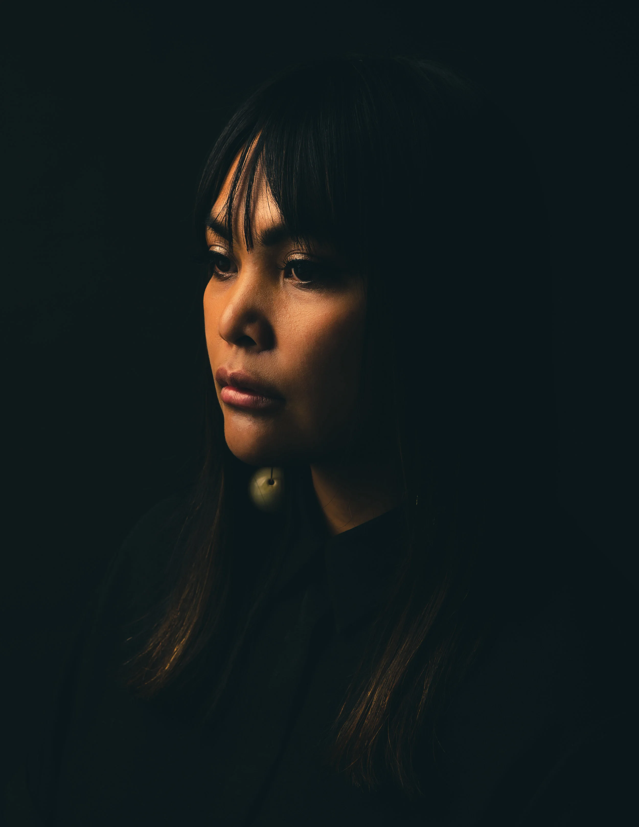 Develop Intelligence: Professional Portraits