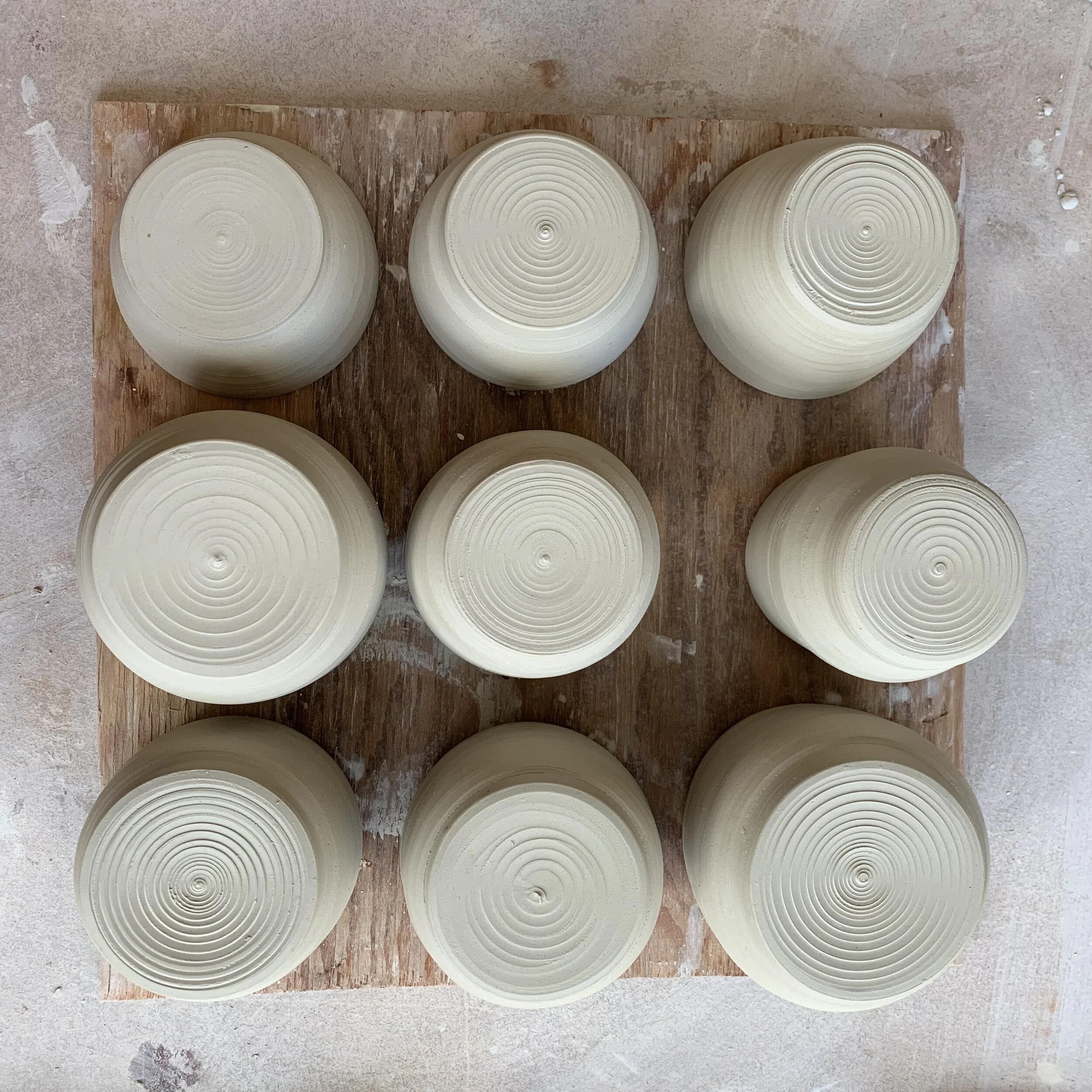 Iphone Sep-Feb. 2019-2020 2168.JPG