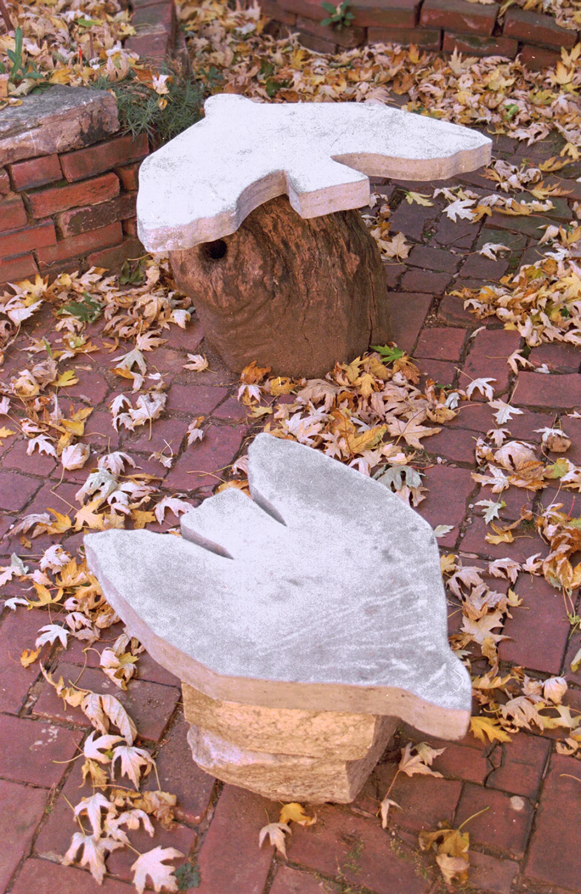 bird garden tables vert.jpg