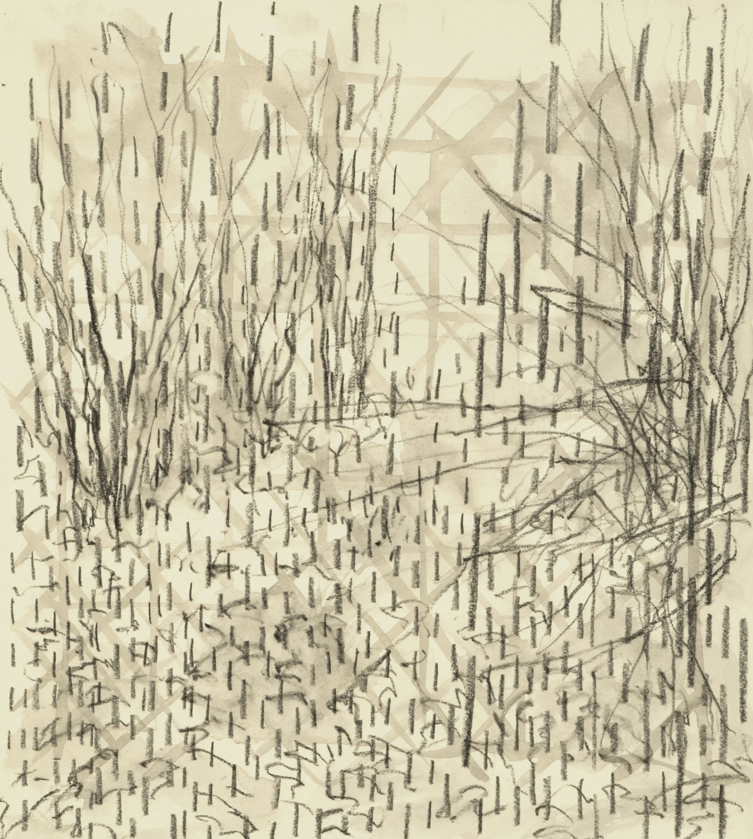 Willows at SNARL