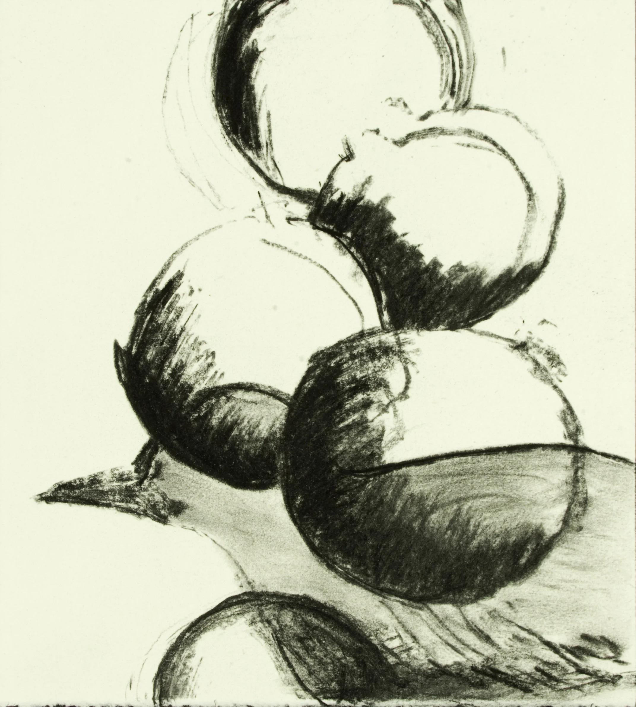 Birds and Fruits