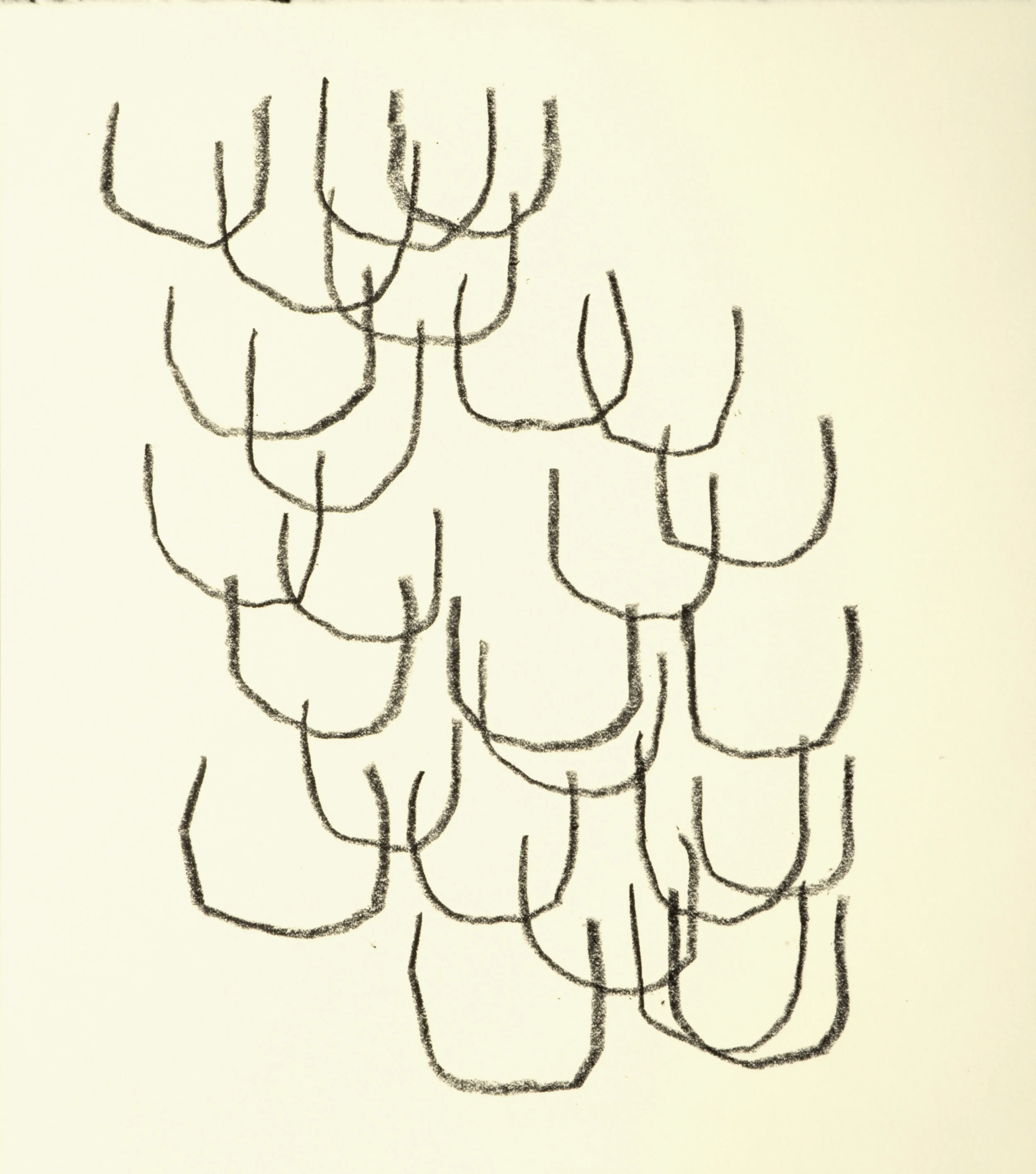 U's Unsorted