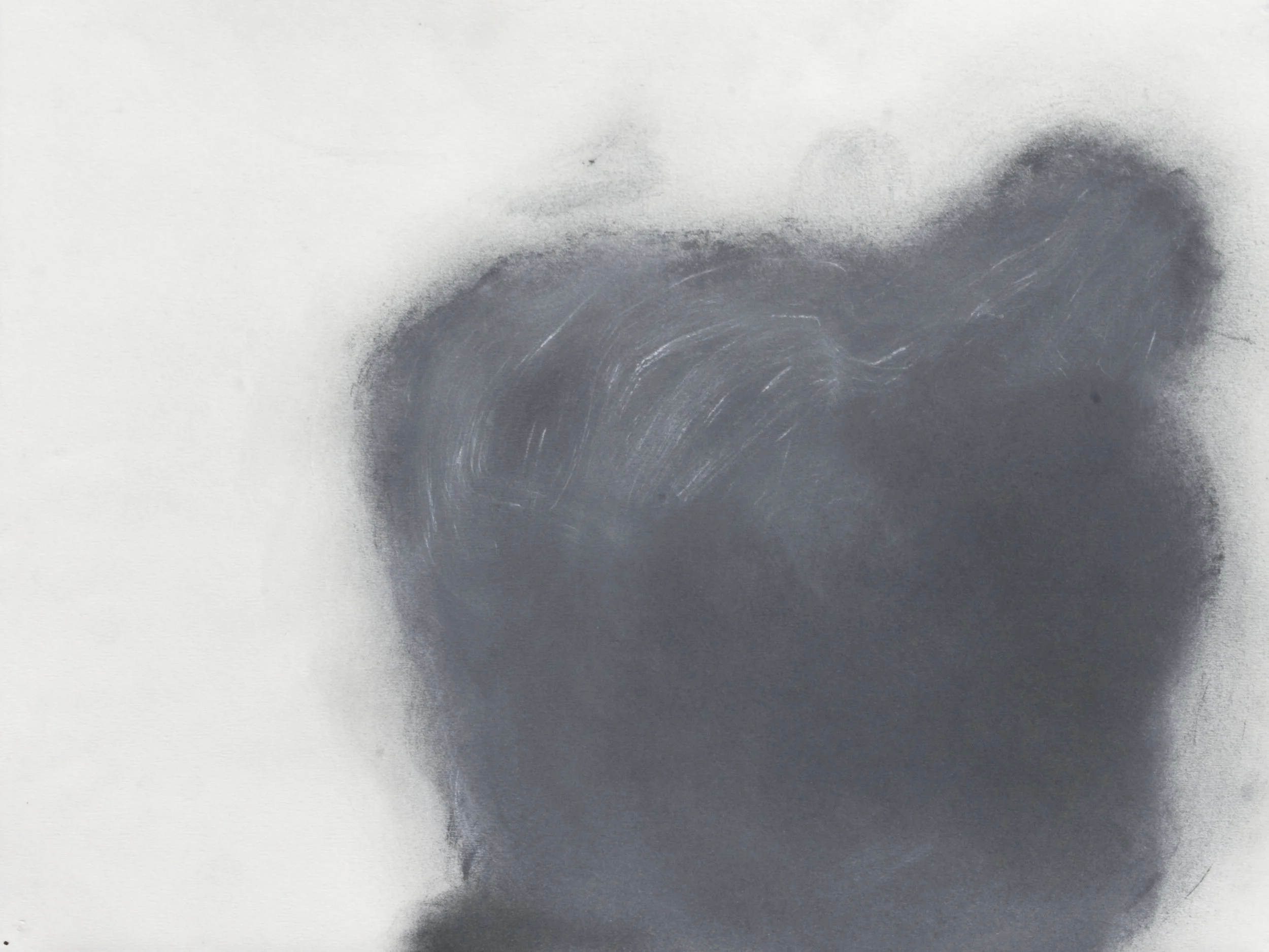 2012 14x18.5 shadow.JPG