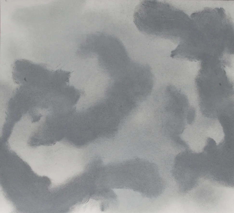 2012_14x15 bird shadows 1.JPG