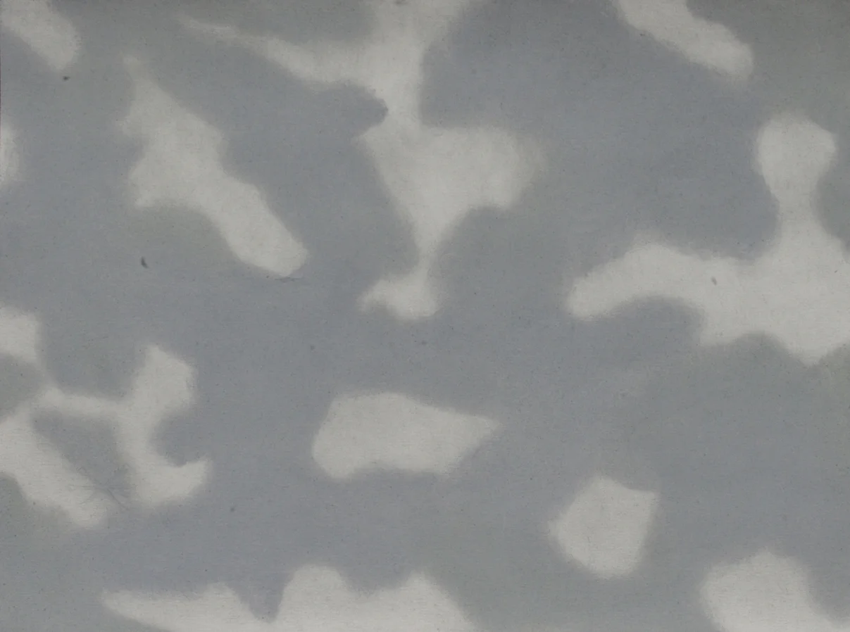 2012_14x18.5 bird shadows 2.JPG