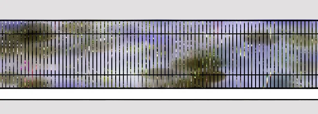 Elevation 2b.jpg