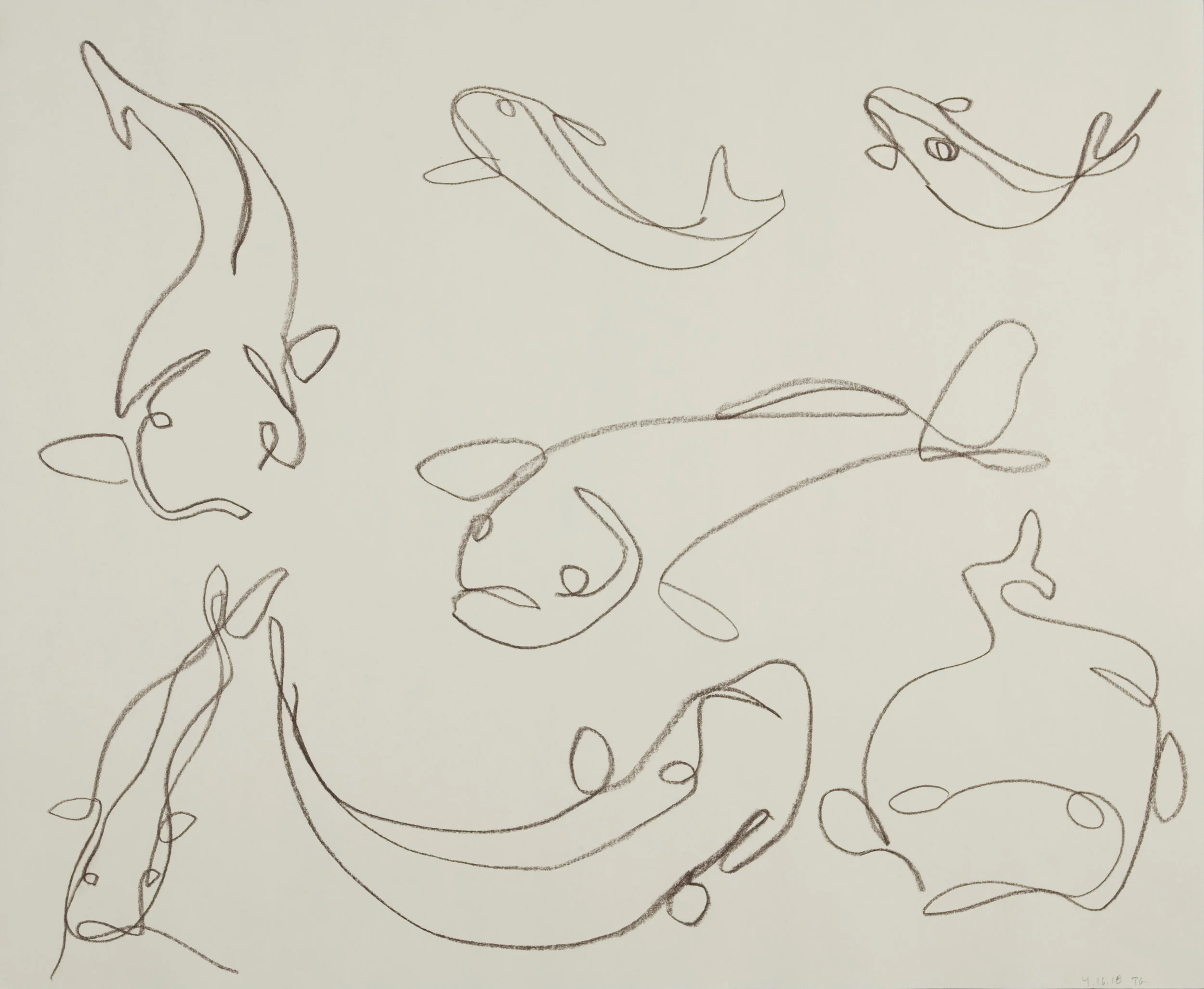 Rockfish studies, pen on paper, 11 x 17”, $800