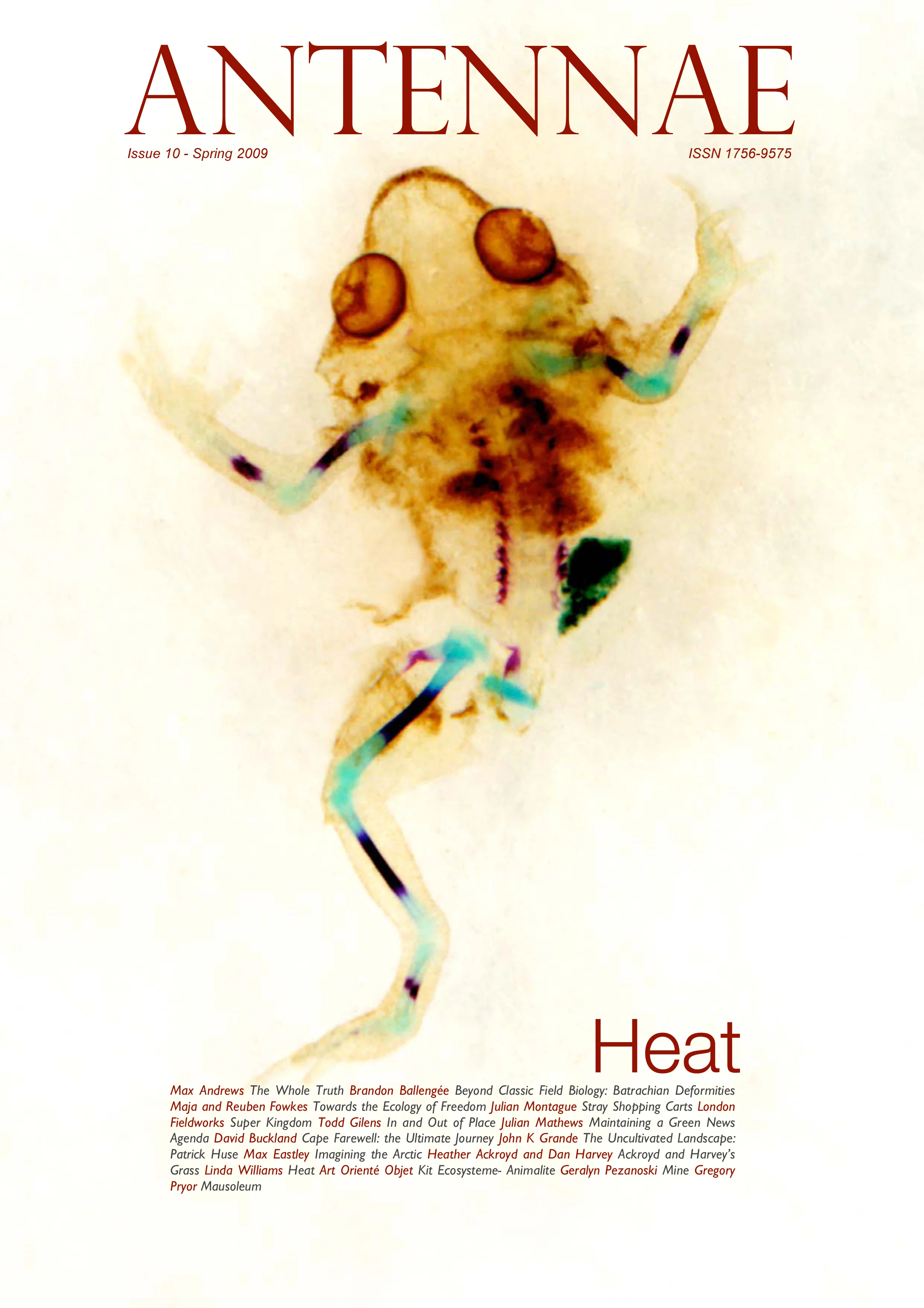 ANTENNAE ISSUE 10 COVER.jpg