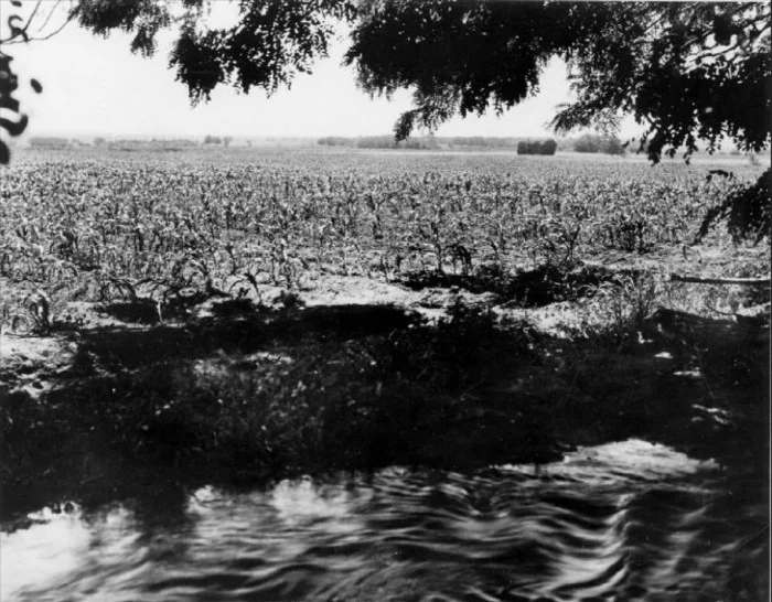 hist photo ditch.jpg