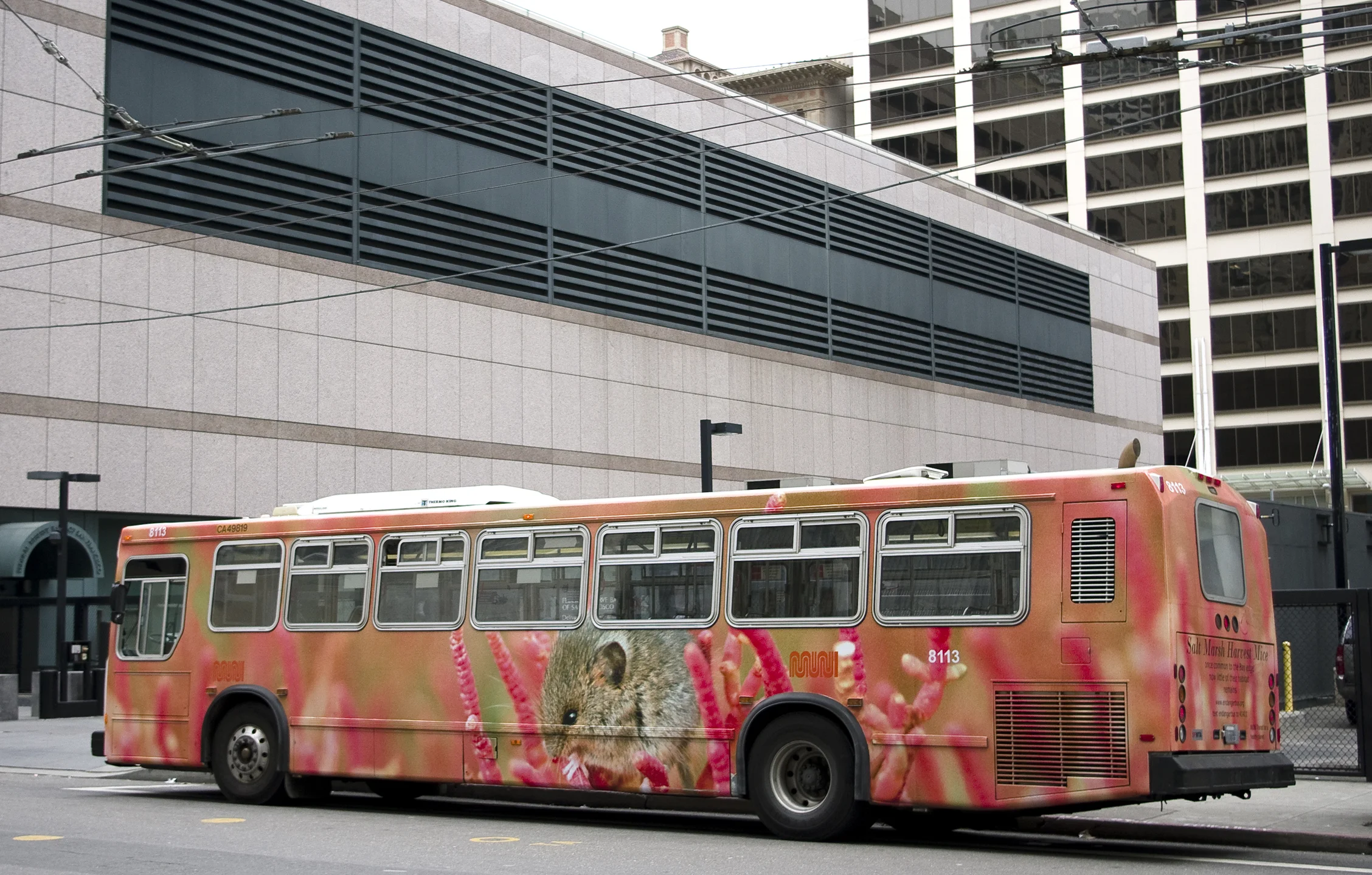 M IMGP3203 sm.jpg