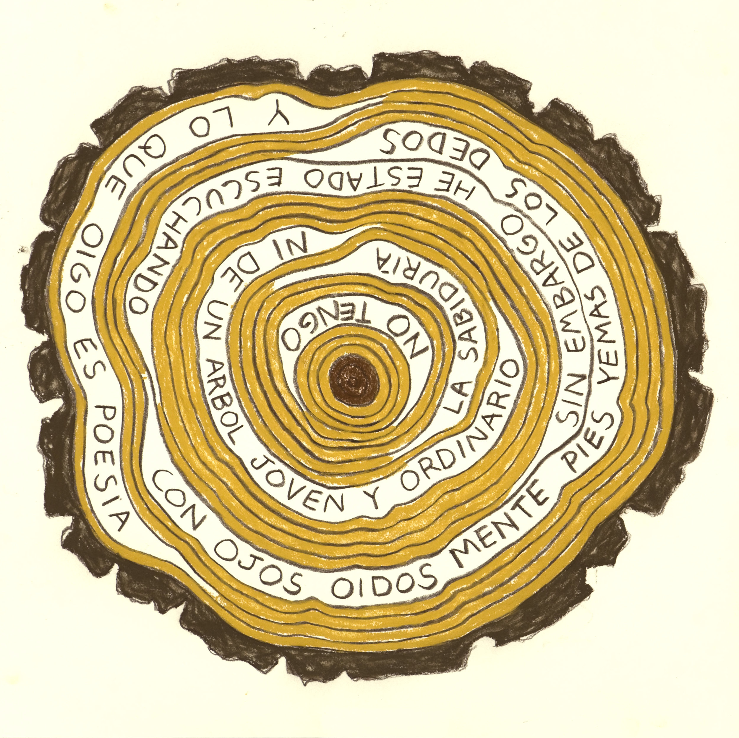 No Tengo la Sabiduria