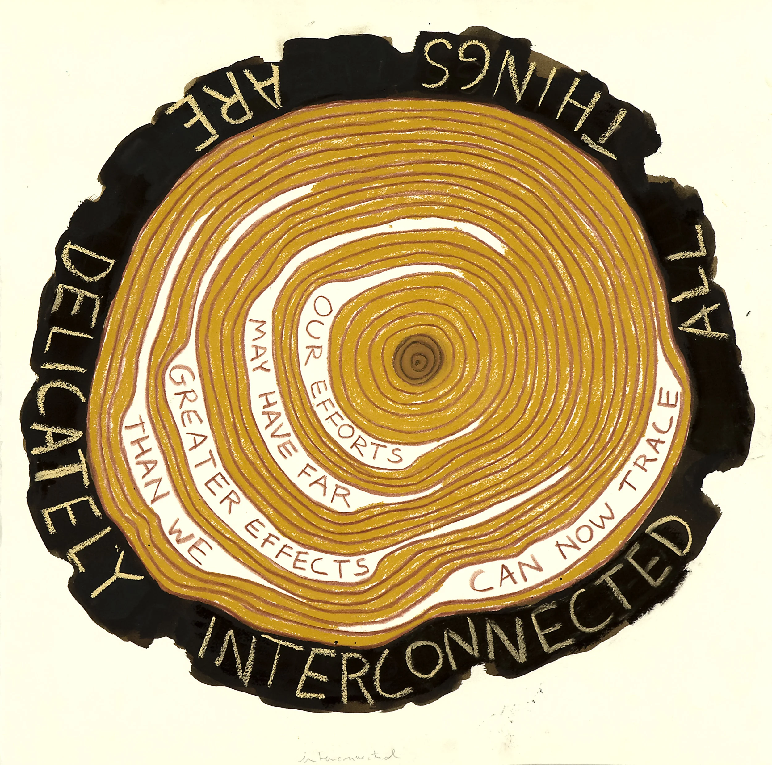 Our Efforts May Have Far Greater Effects