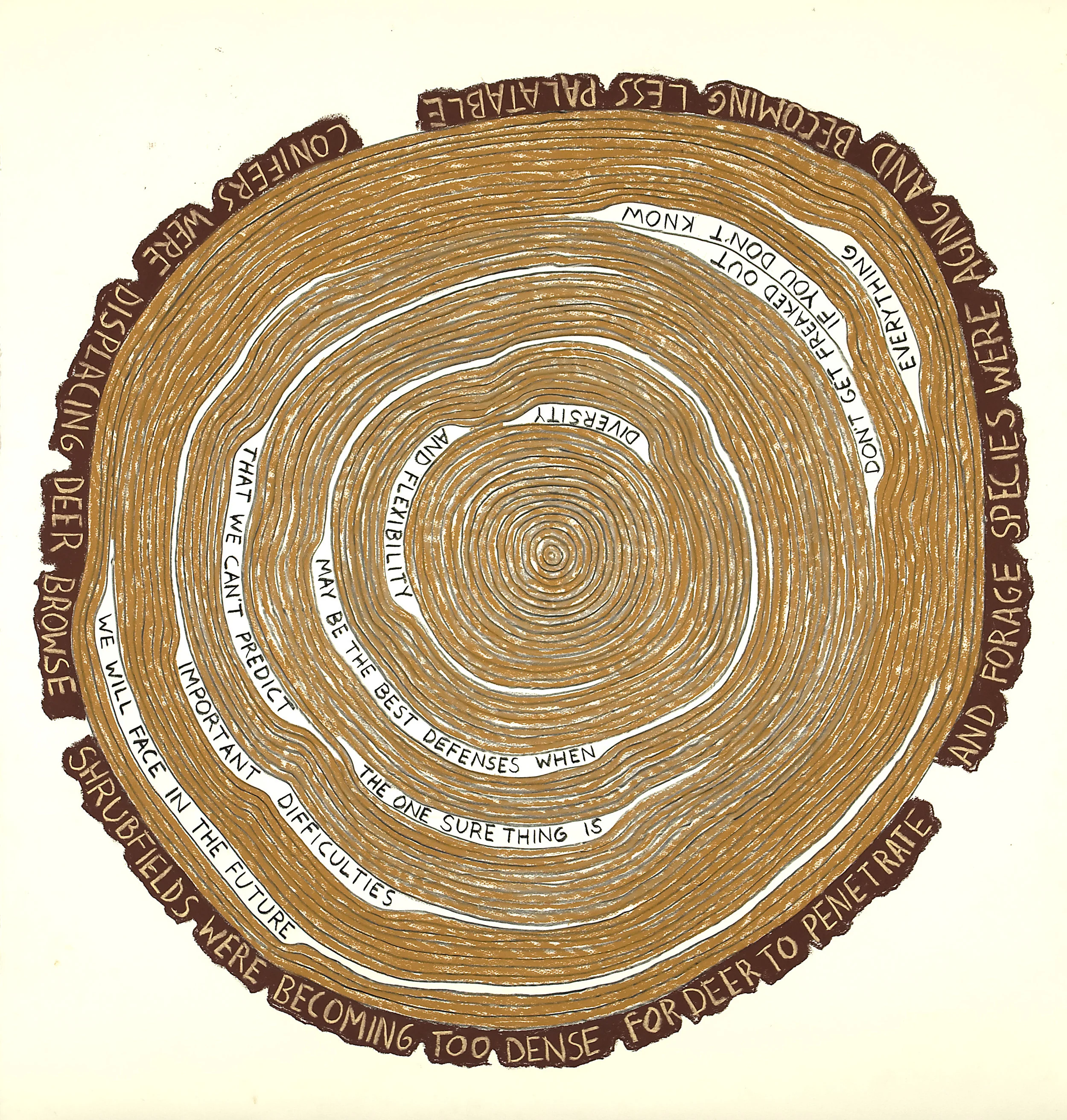 Diversity and Flexibility