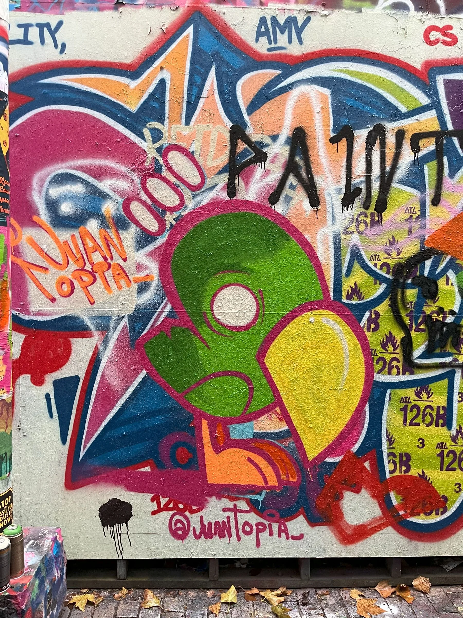 juantopia-burd-graffiti-IMG_0031.jpg