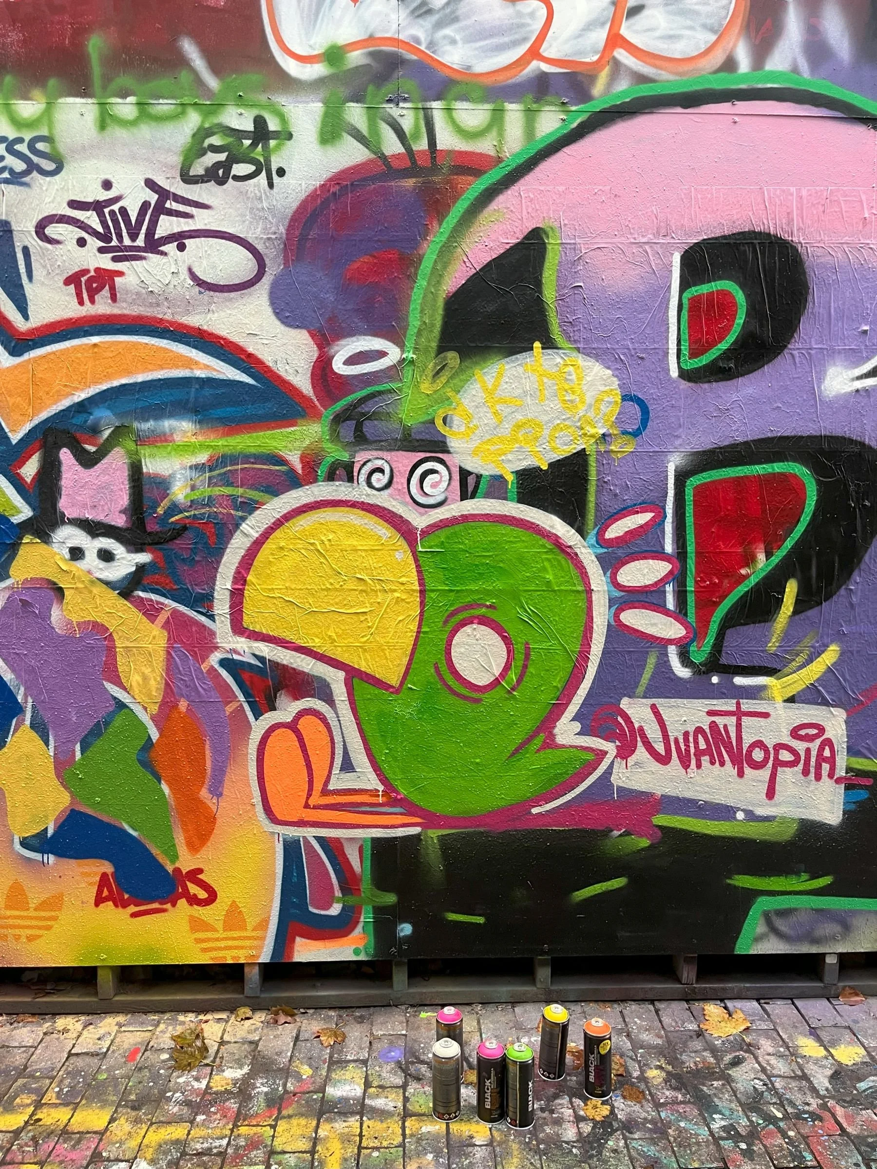 juantopia-burd-graffiti-mural-IMG_0039.jpg