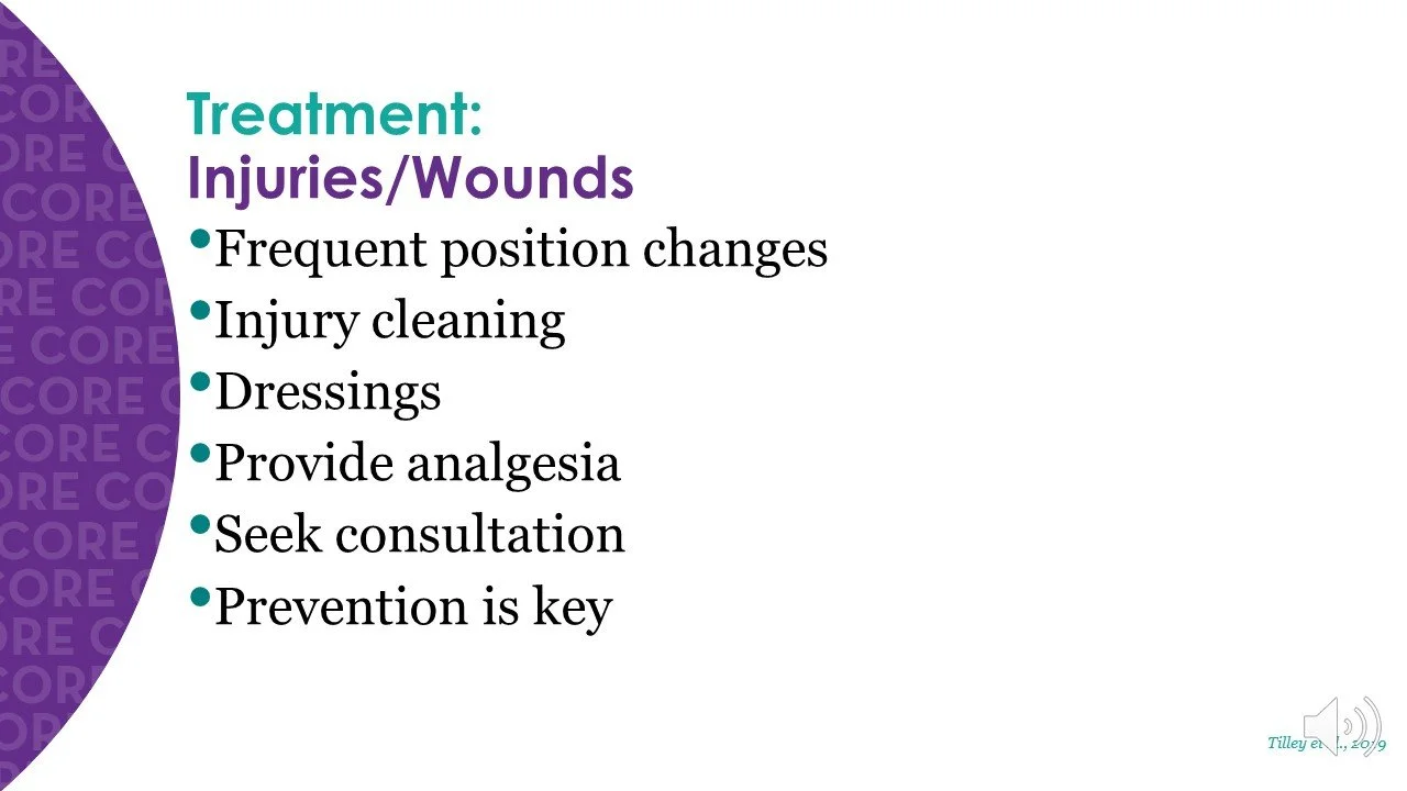 Slide62.JPG
