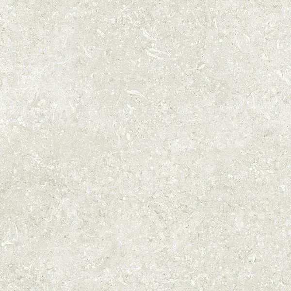 Artic.jpg