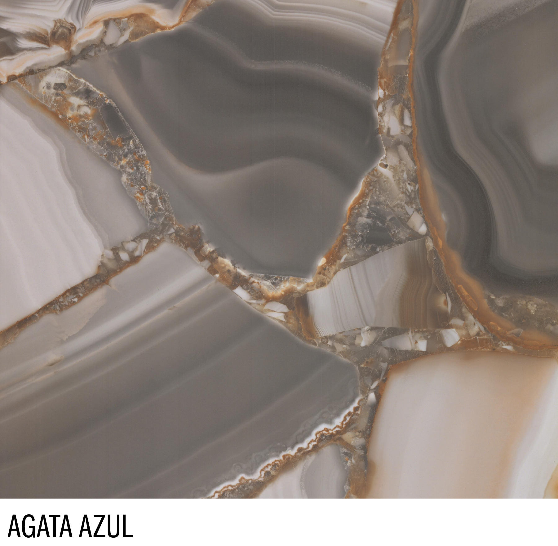 E12A3941-1E80-4D8B-B33C-C2EEF7078CD1.png