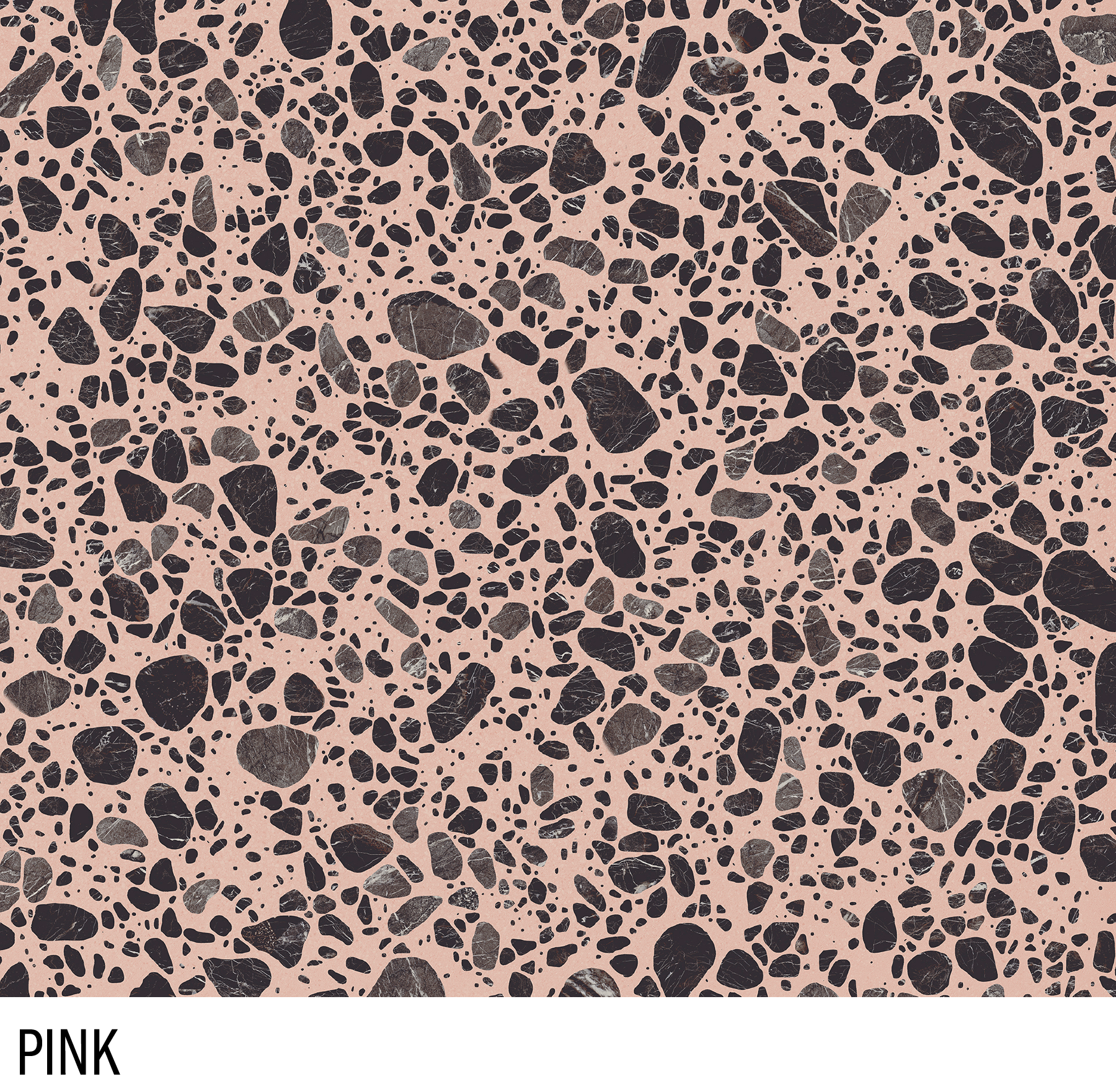 FE6263E2-BBEA-4413-93FD-F4C3814D685C.png