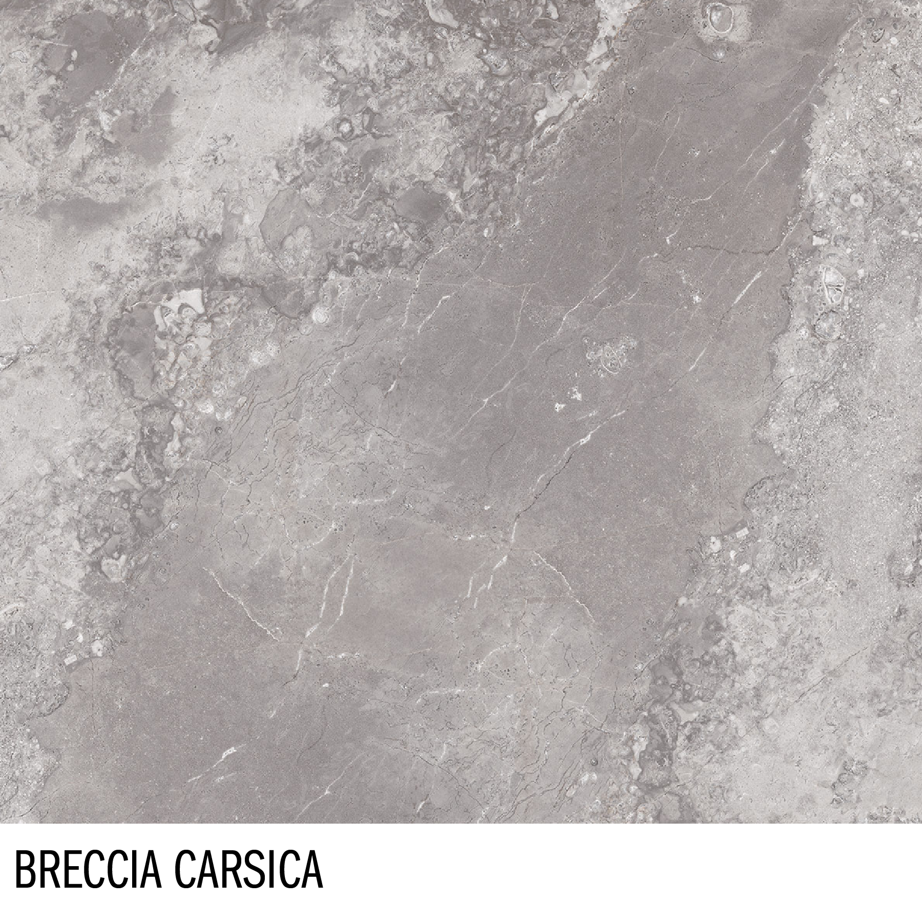 966A73ED-405C-450D-AD09-346DB341C3CA.png