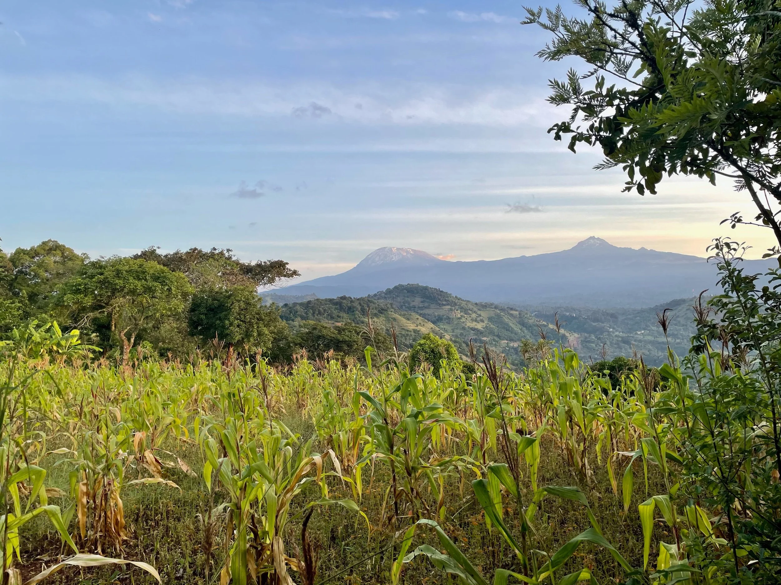 Day 1: Arrive in Arusha, Tanzania