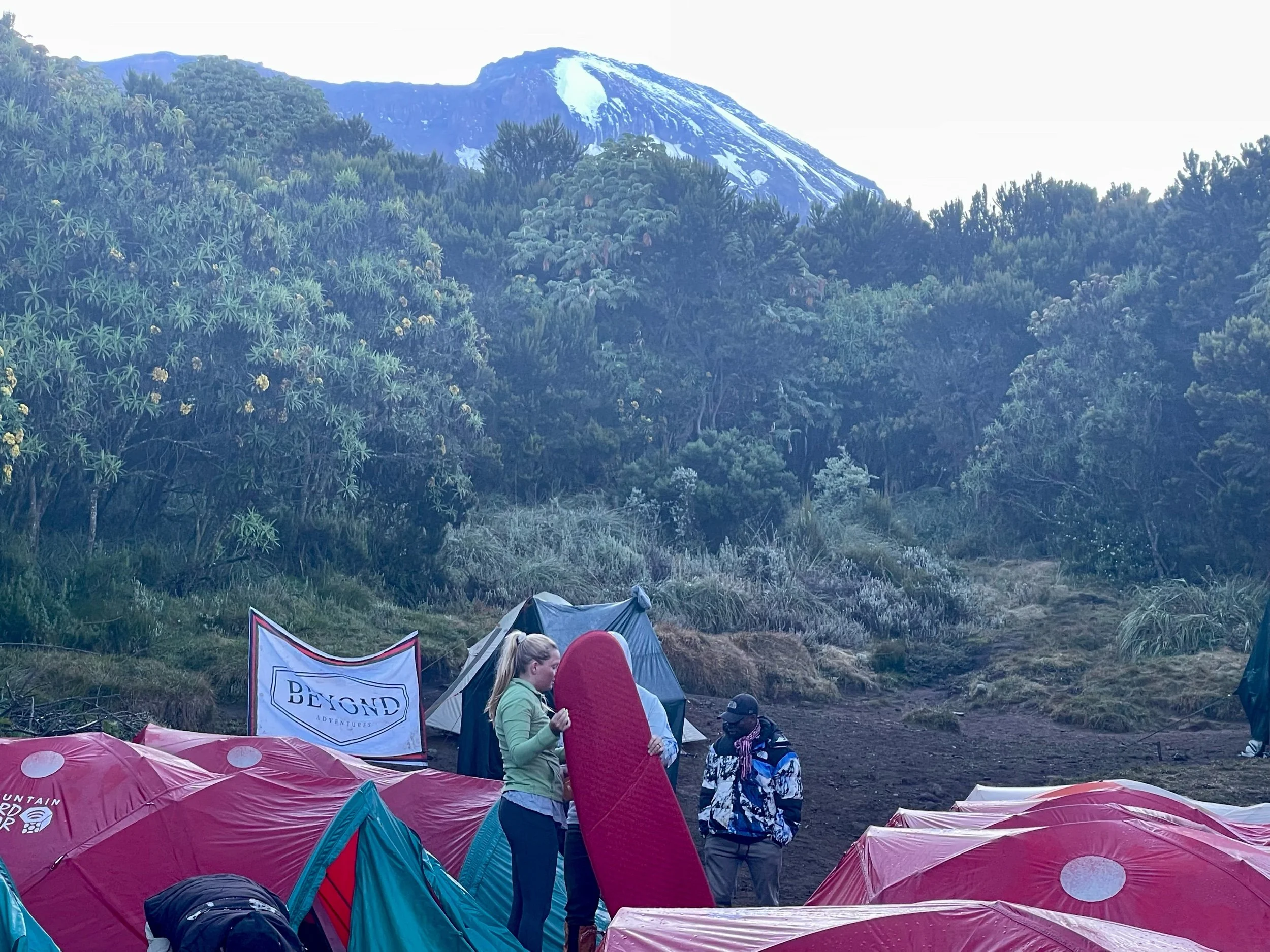 Day 4: Climb to Shira Camp