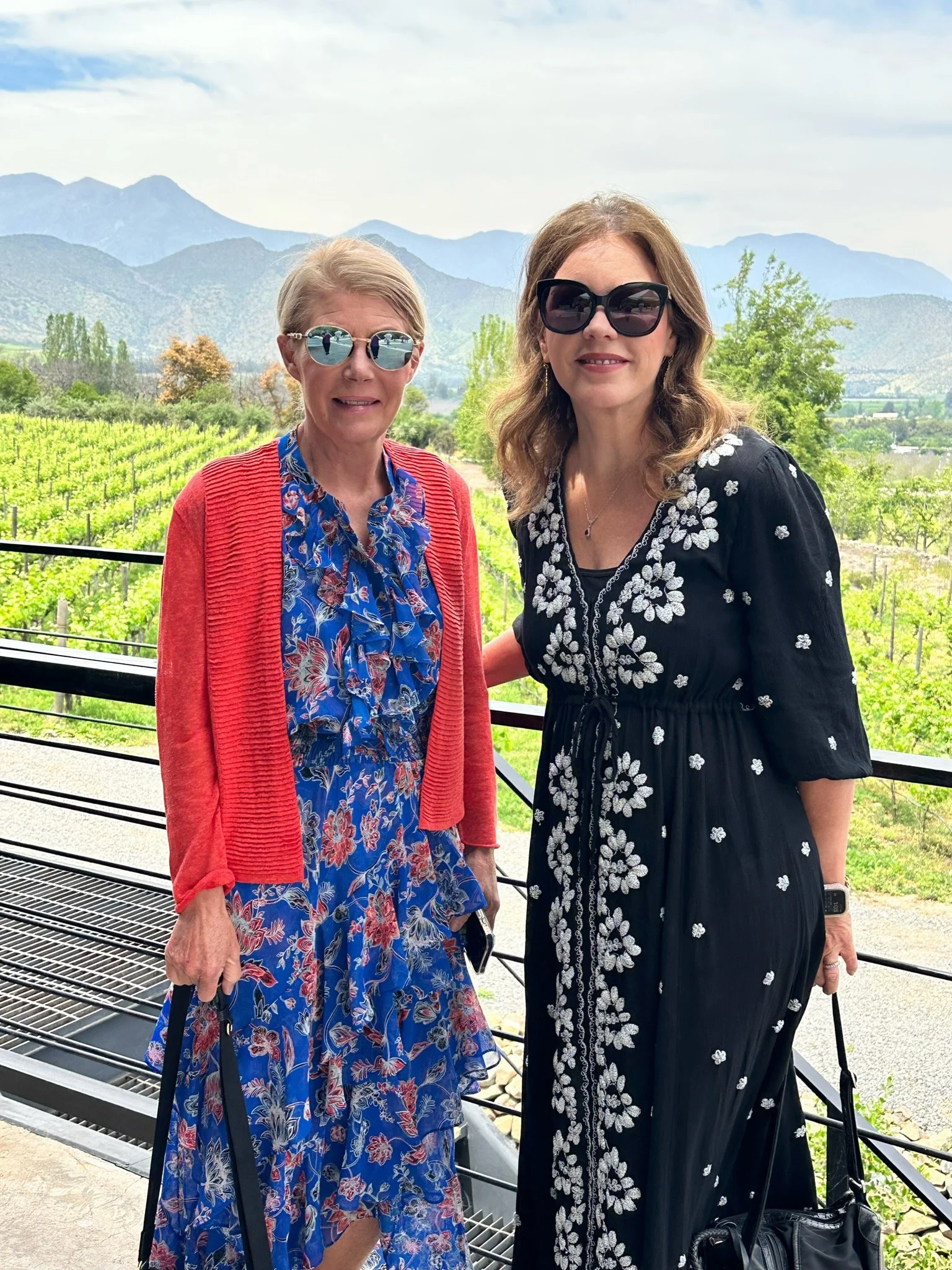 Day 10: Maipo Valley Private Vineyard Tours