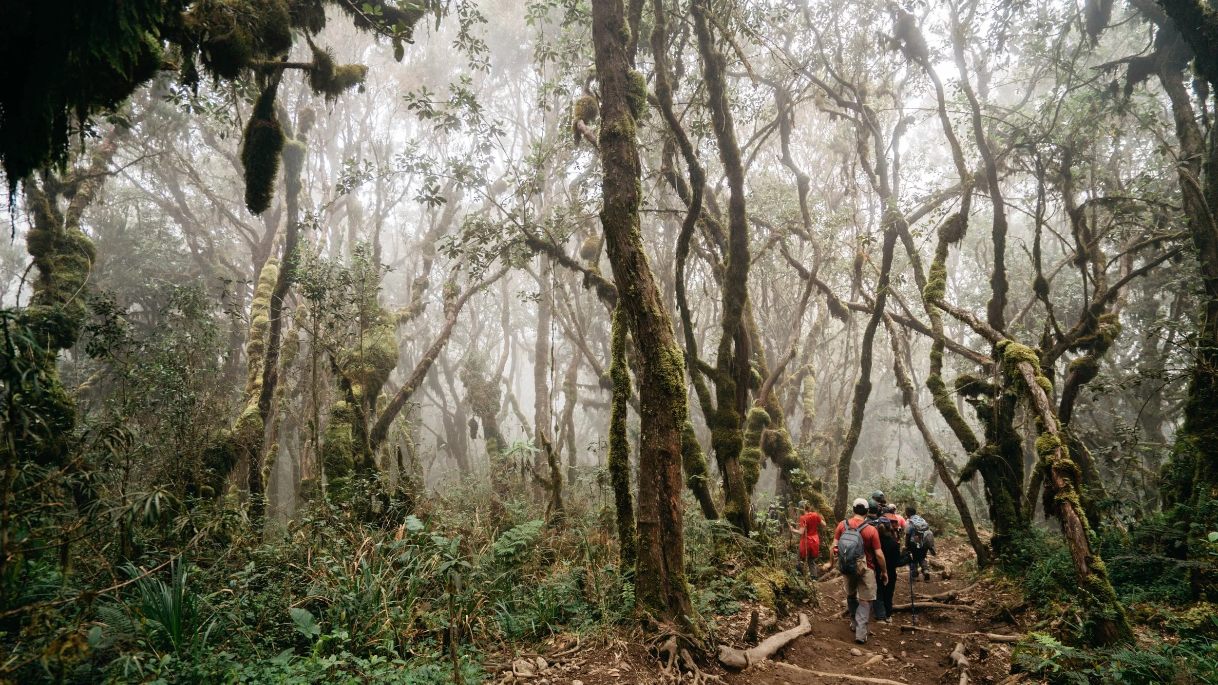 DAY 3: CLIMB TO MACHAME GATE