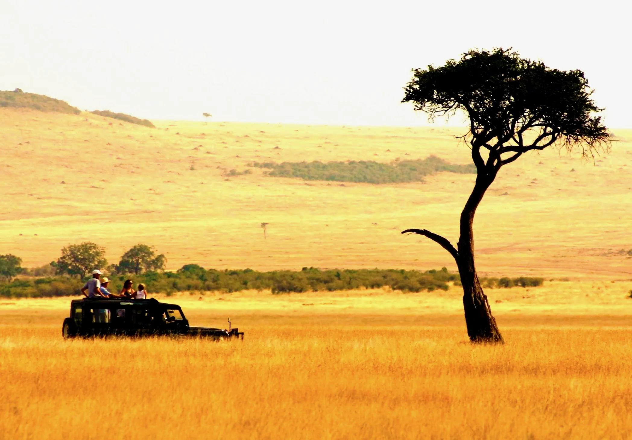 Safari Truck - edit1_2.jpg