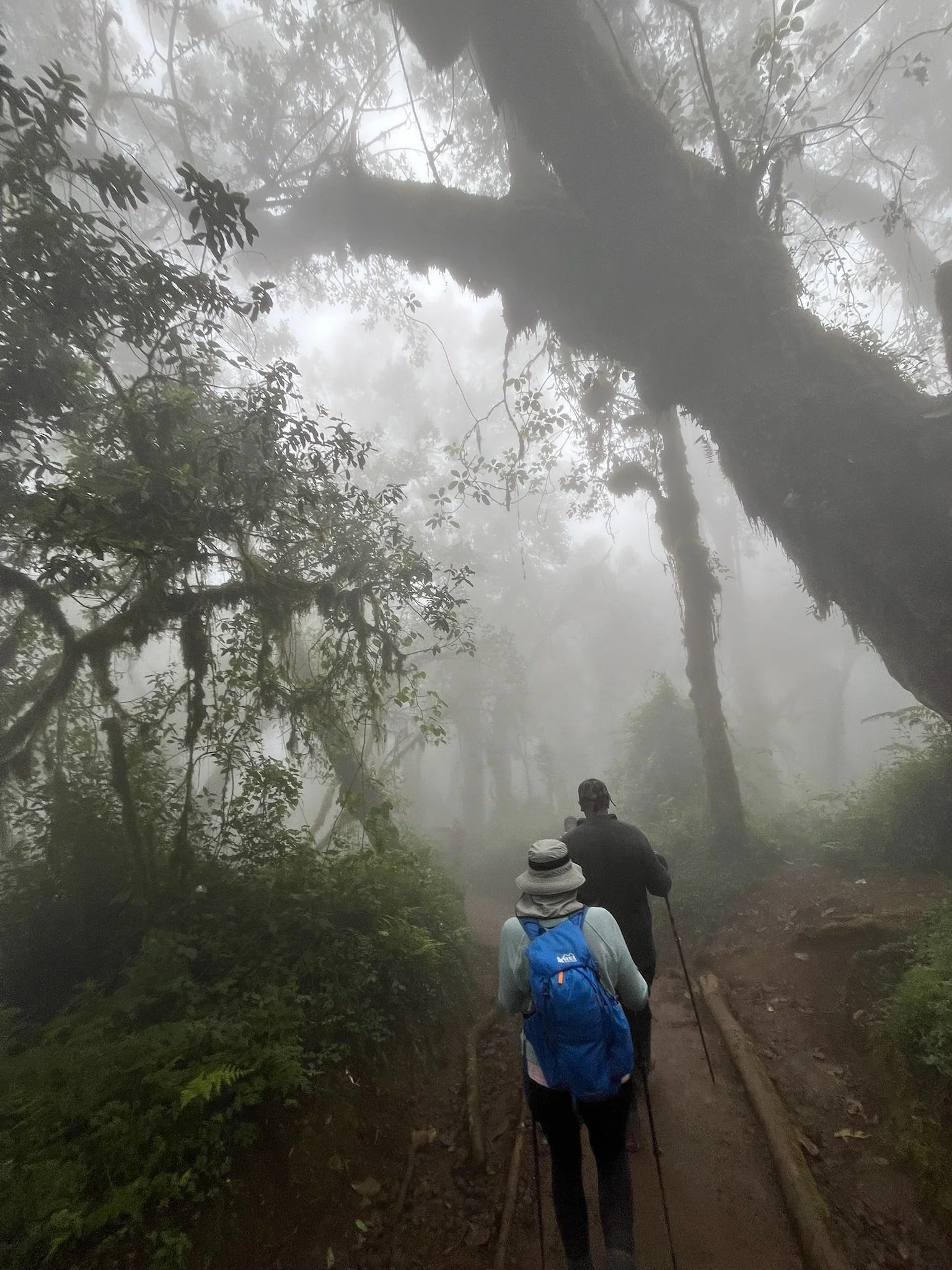 Day 10: Climb to Mweka Gate