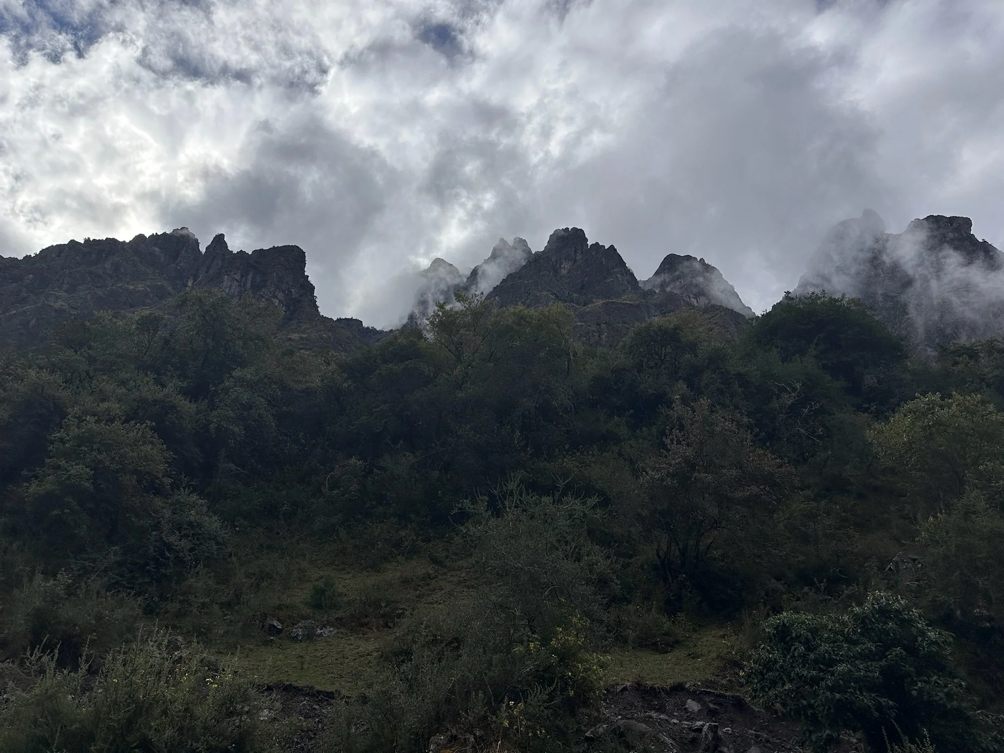 IMG_0084.jpeg