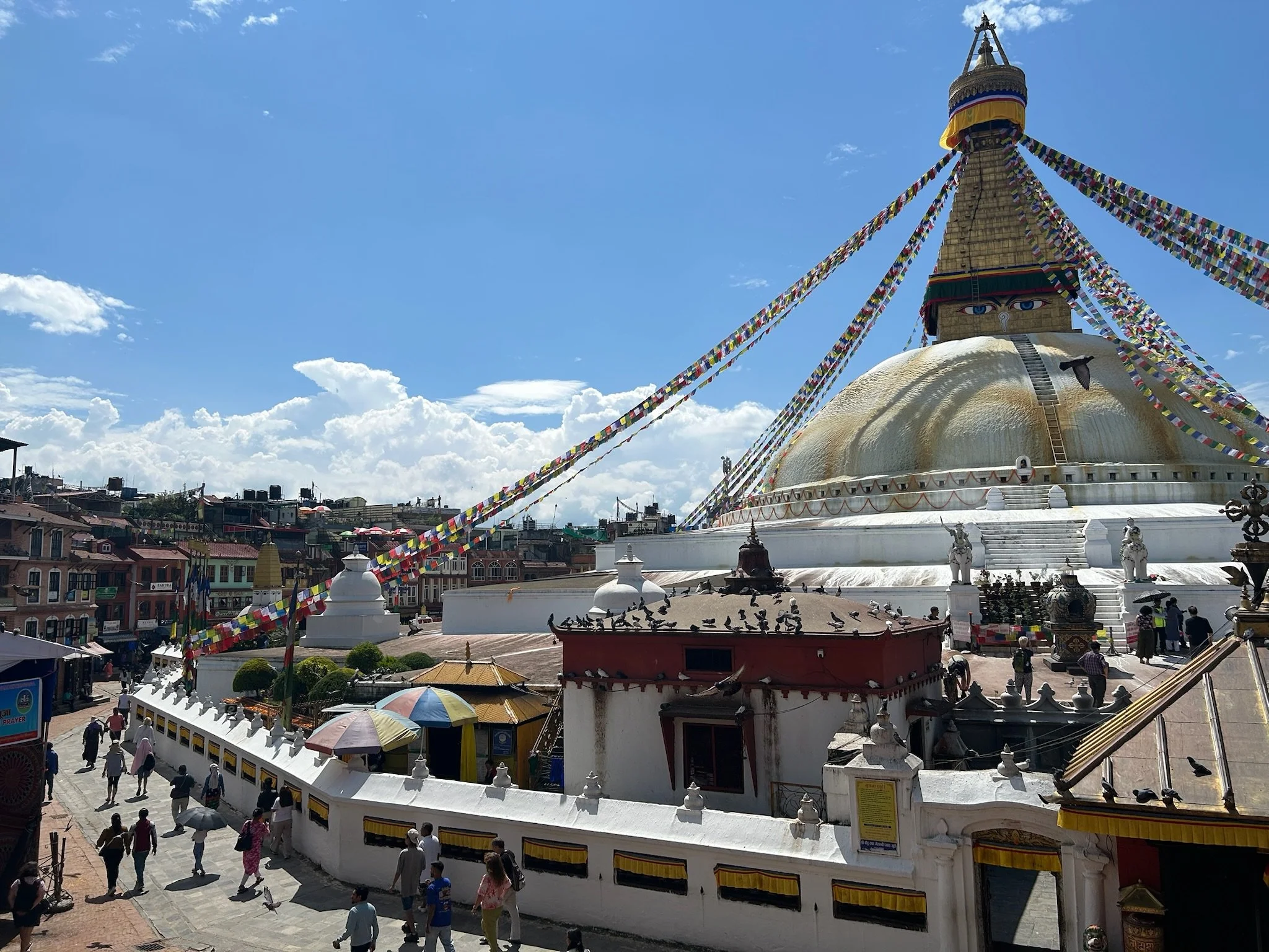 IMG_8974.jpeg