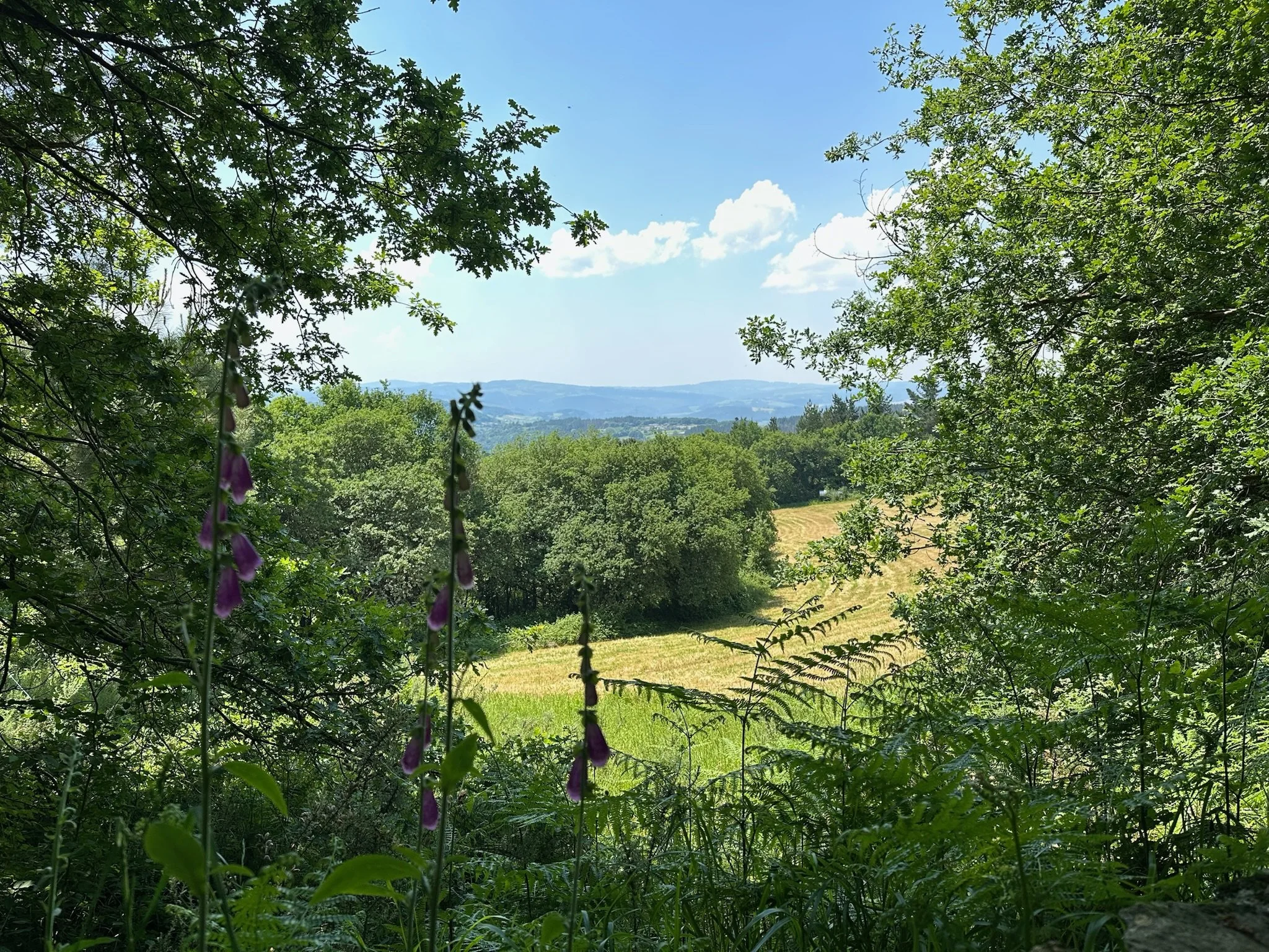 Day 10: Departure Day