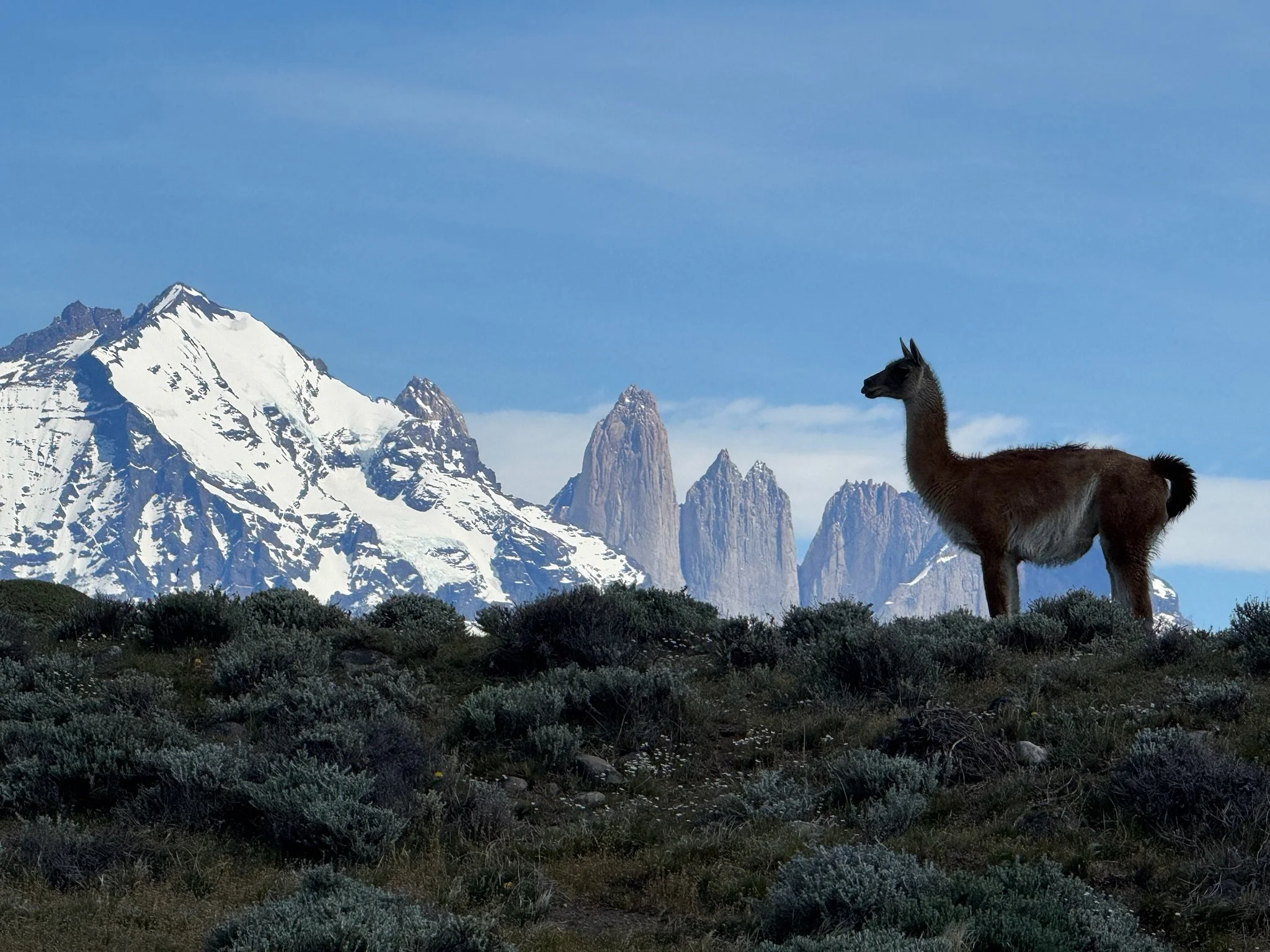 Day 8 - Free Day at Tierra