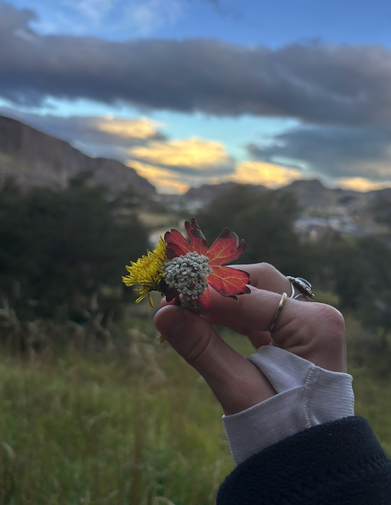 Screenshot 2026-03-27 at 1.48.34 PM.png