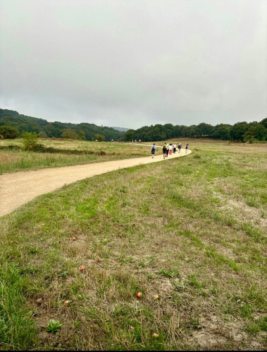 The Camino has welcomed pilgrims for centuries, and last month, a BEYOND group was among them! 

From the cobblestoned paths of the French Way to two nights in stunning Porto, this legendary pilgrimage will change you. ✨