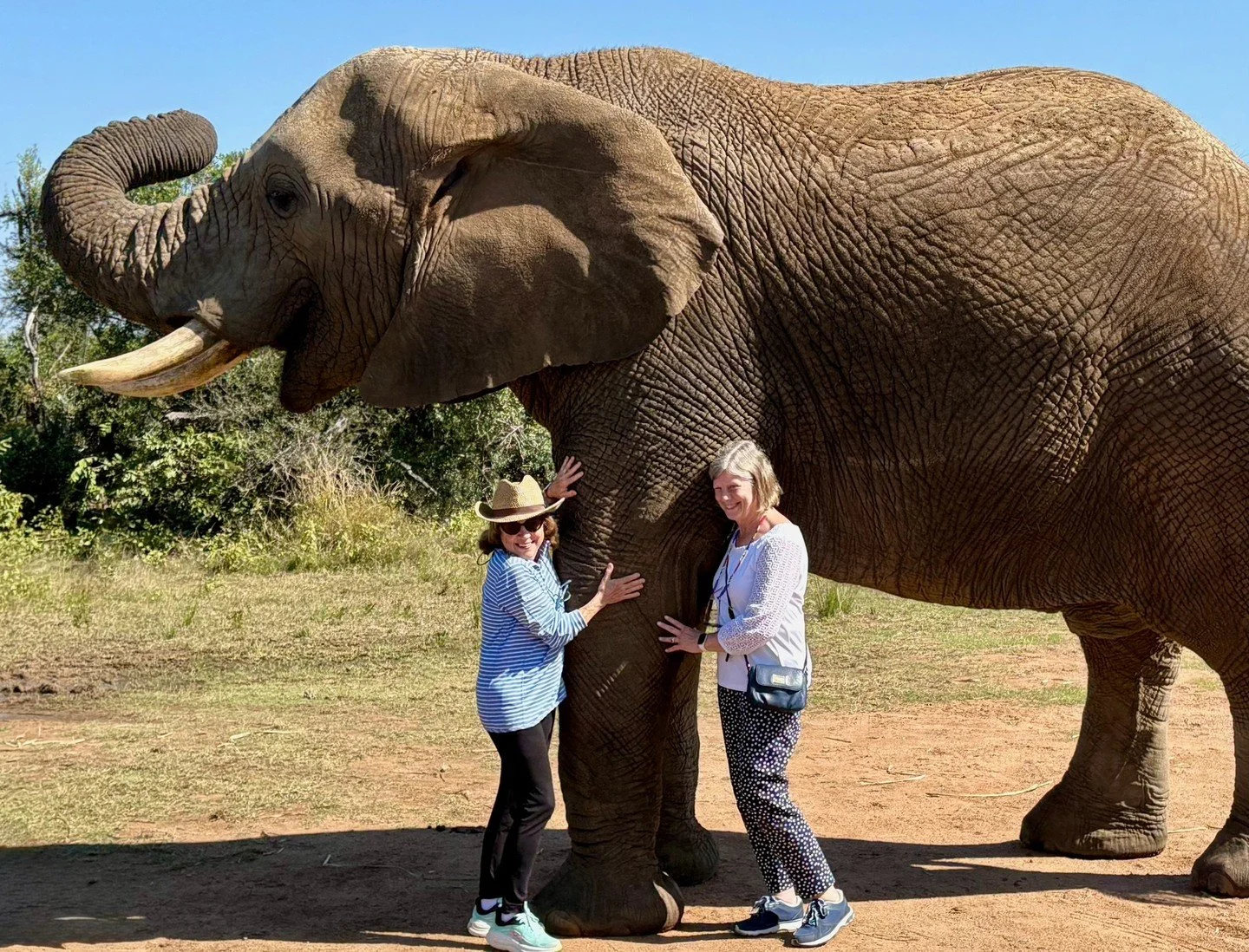 Luxury 🤝 adventure in South Africa