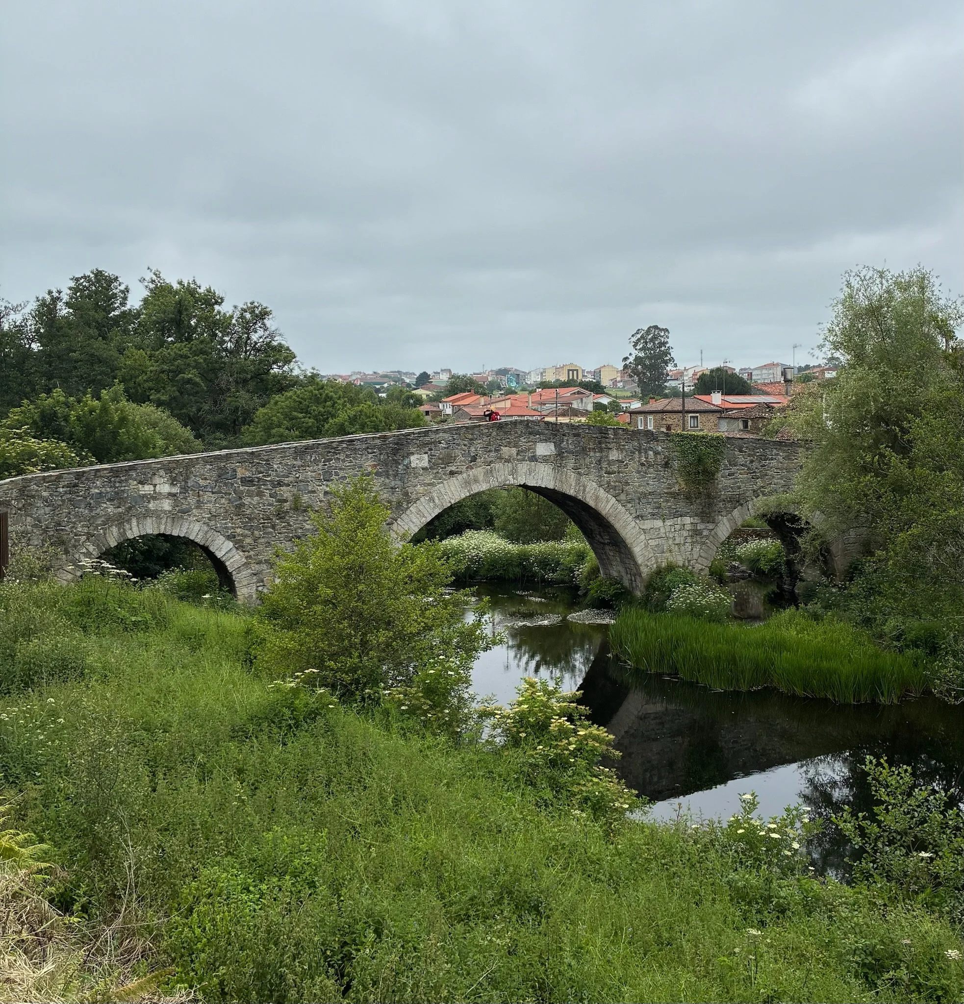 IMG_4728.jpeg