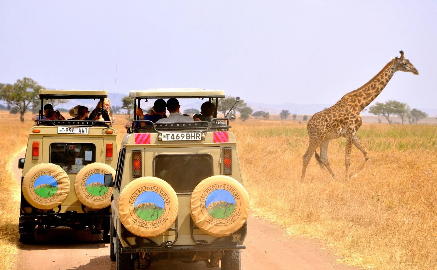 Wake up to elephants roaming the plains. Watch lions move through the Ngorongoro Crater. Witness the Great Migration across the Serengeti. 🌍✨

A BEYOND safari takes you through Tanzania&rsquo;s unforgettable landscapes, luxury lodges, and once-in-a-