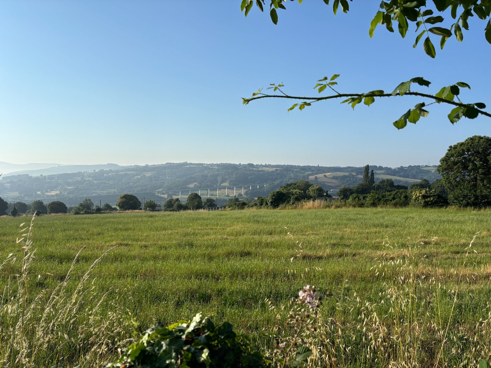 IMG_3570.jpeg