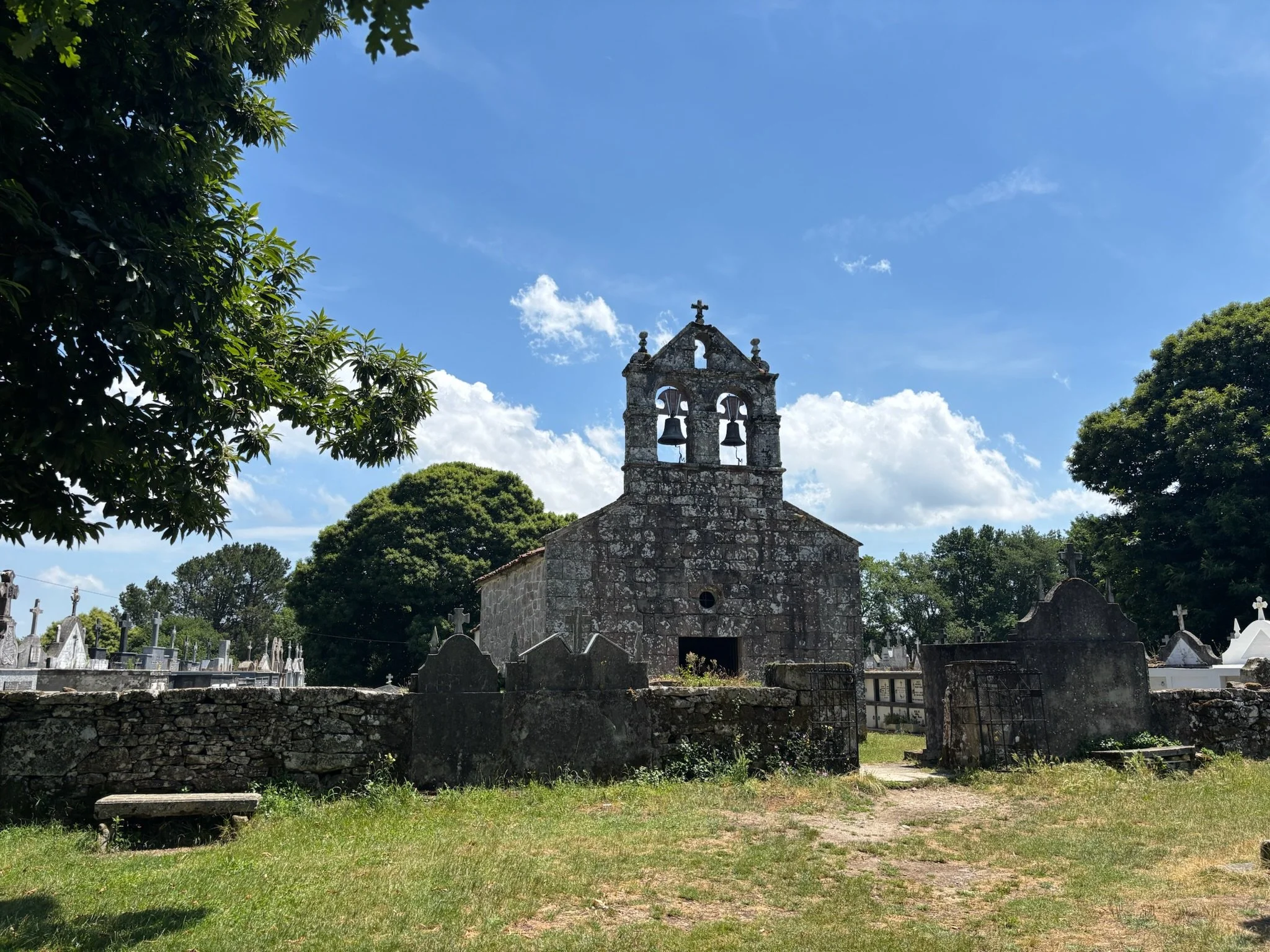 IMG_3631.jpeg