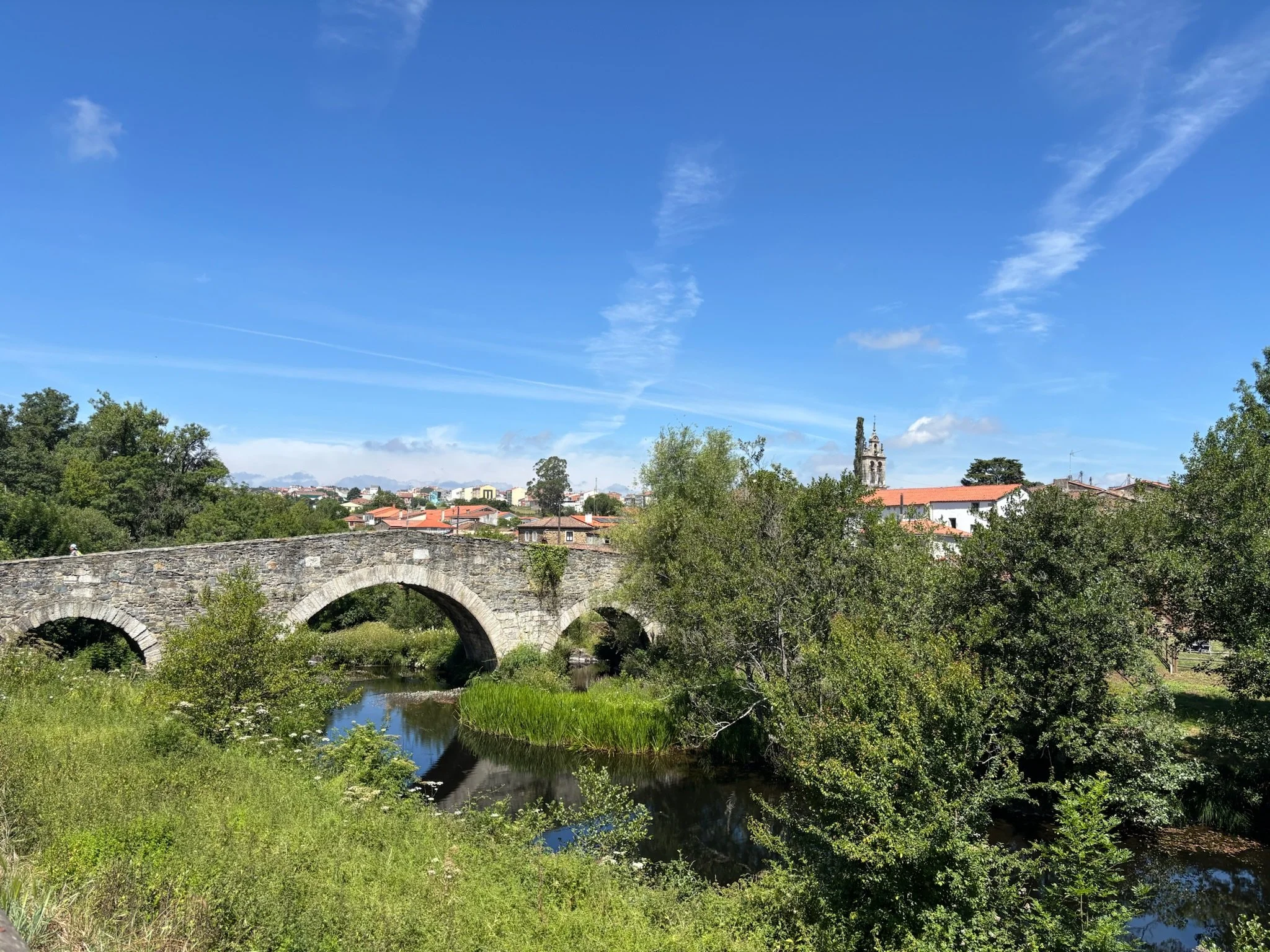 IMG_3645.jpeg