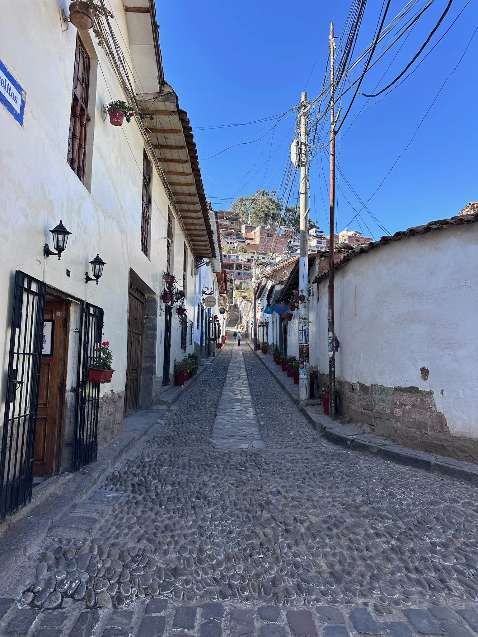 IMG_3662.jpeg